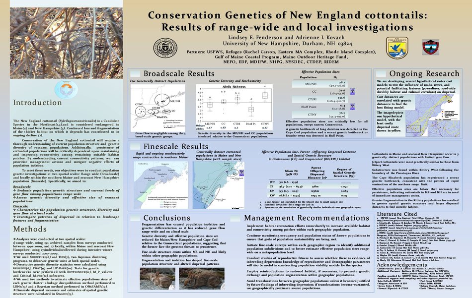 Conservatio Genetics Of New England Cottontails by akovach