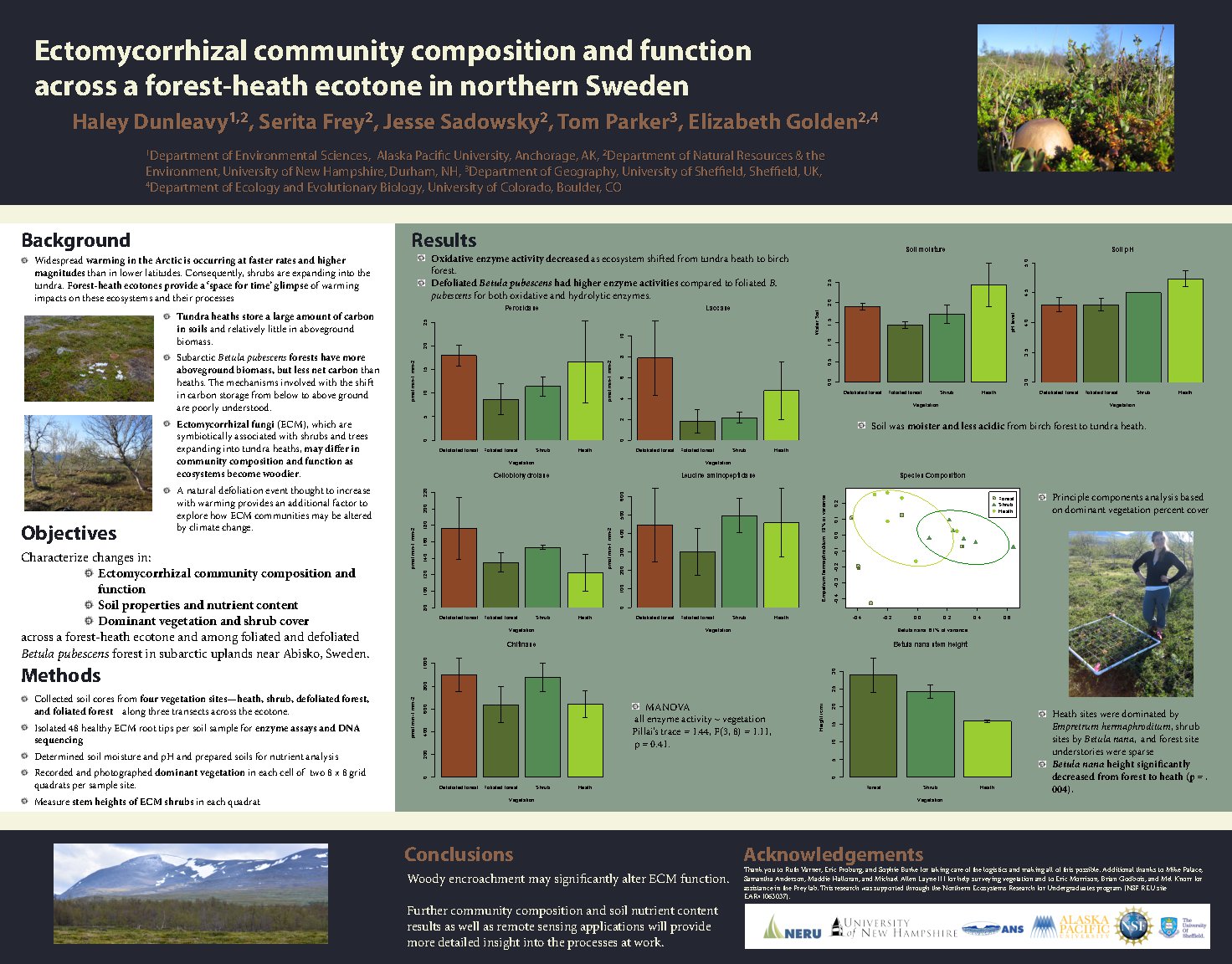 Ectomycorrhizal Community Composition And Function Across A Forest-Heath Ecotone In Northern Sweden by hdunleavy