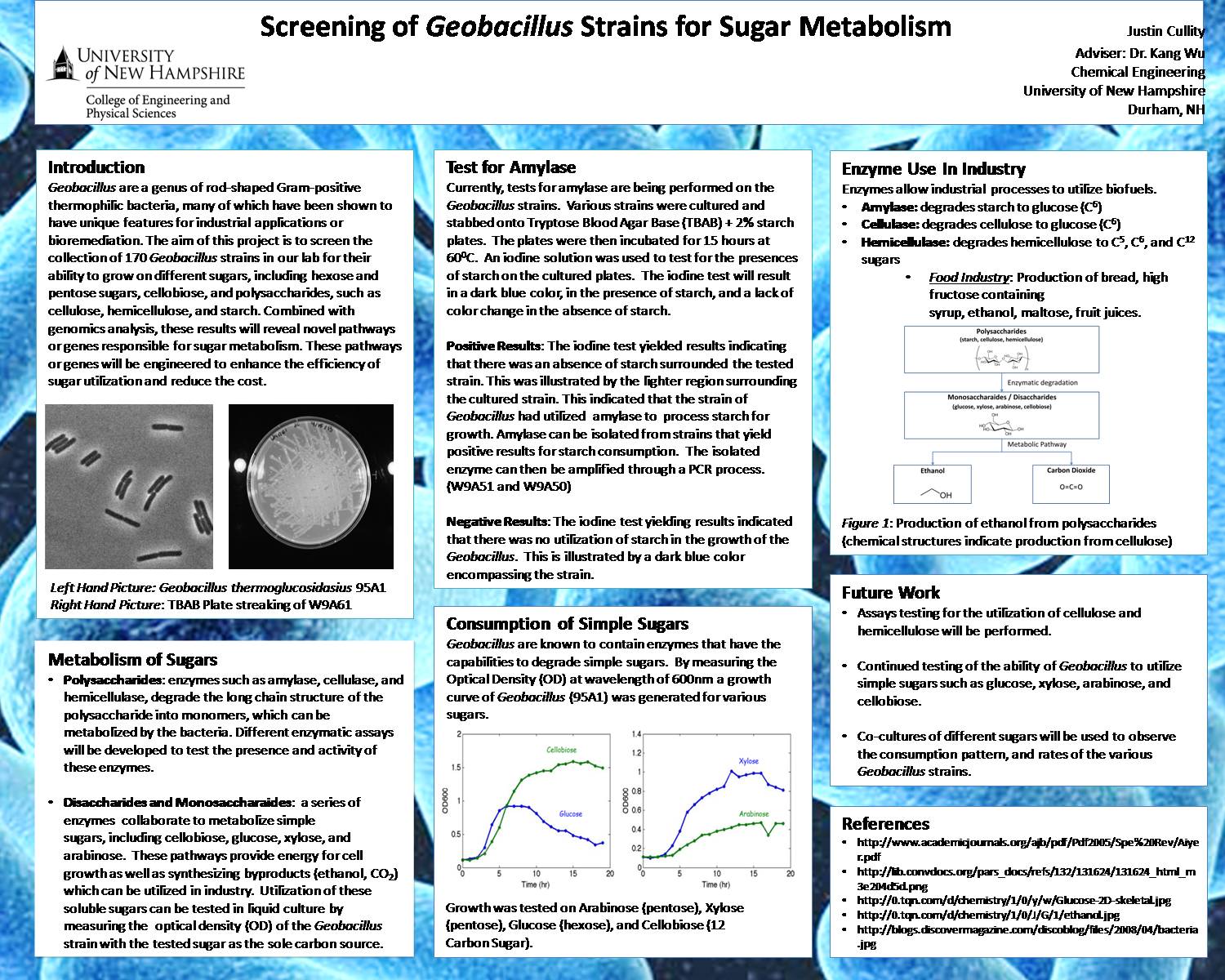 Screening Of Geobacillus Strains For Sugar Metabolism by jrq97