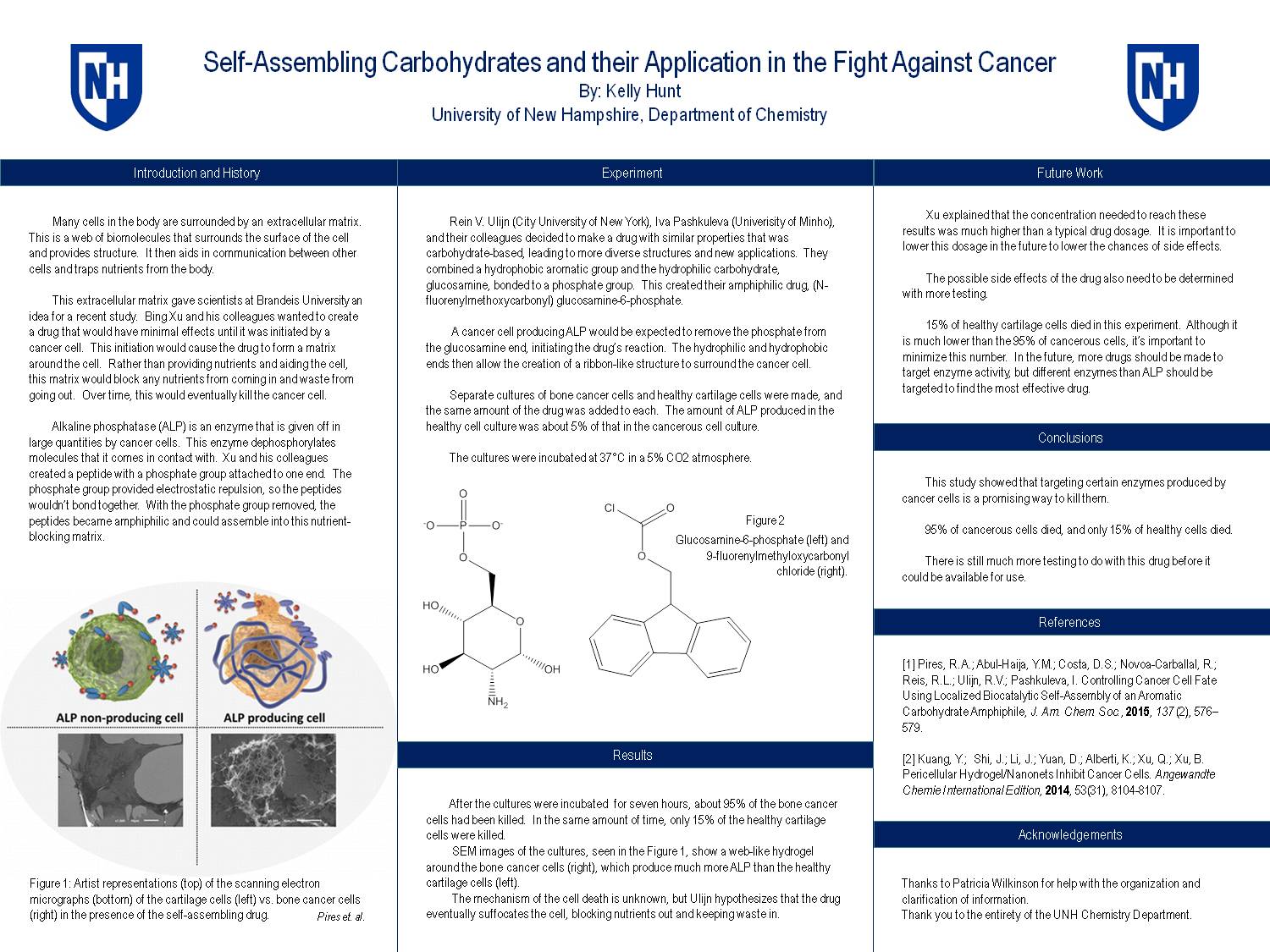 Self-Assembling Carbohydrates And Their Application In The Fight Against Cancer by kmy2576