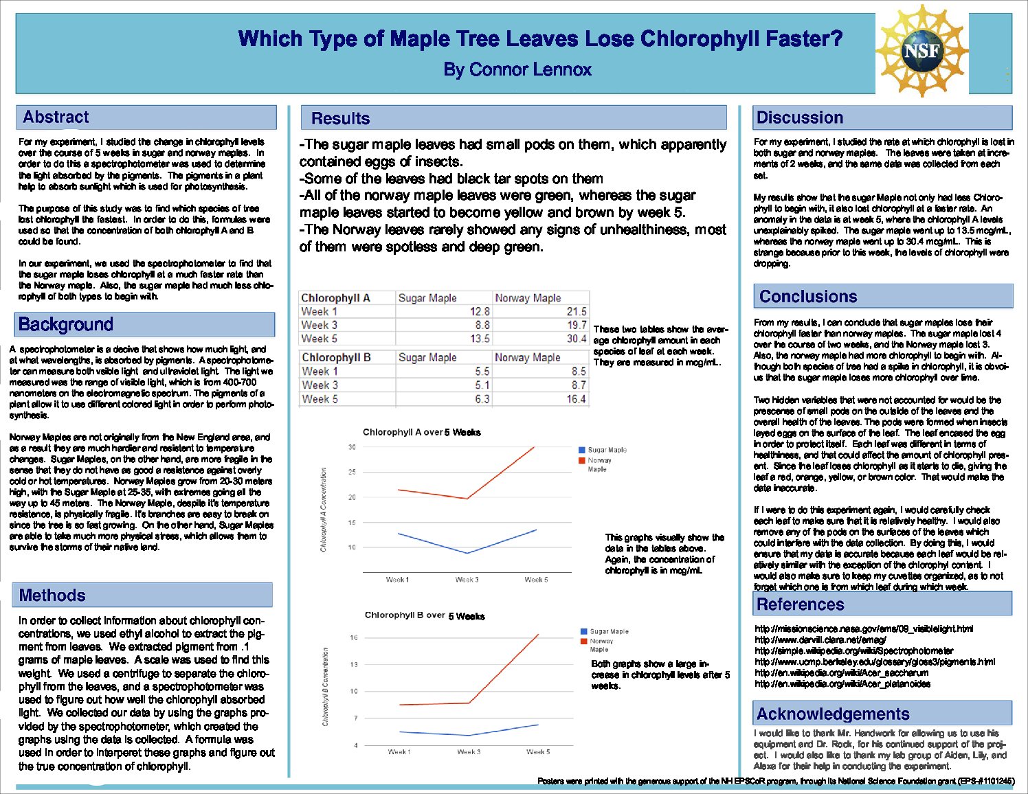 Which Type Of Maple Tree Leaves Lose Chlorophyll Faster? by mchandwork