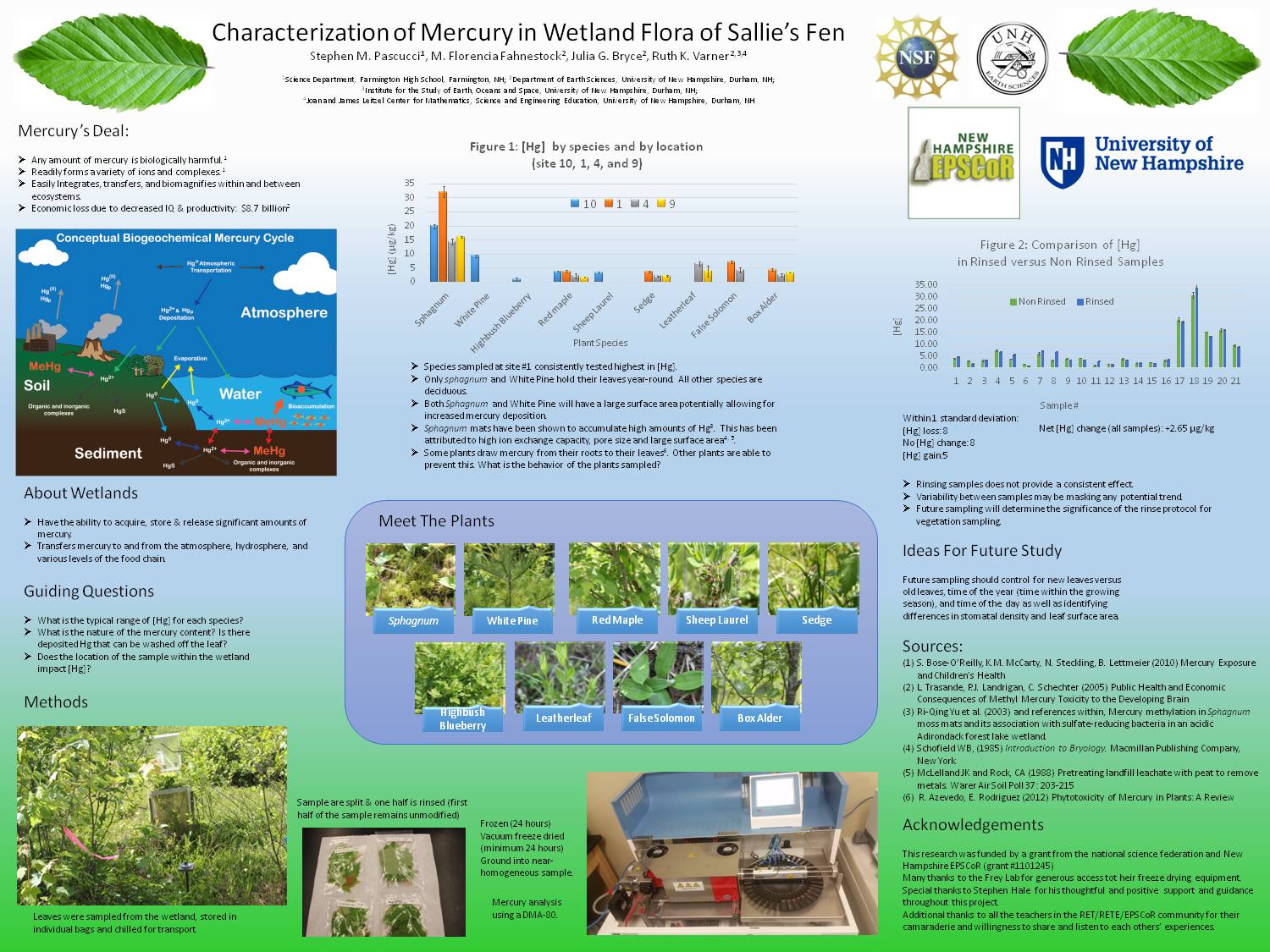 Characterization Of Mercury In Wetland Flora Of Sallie's Fen by StephenPascucci