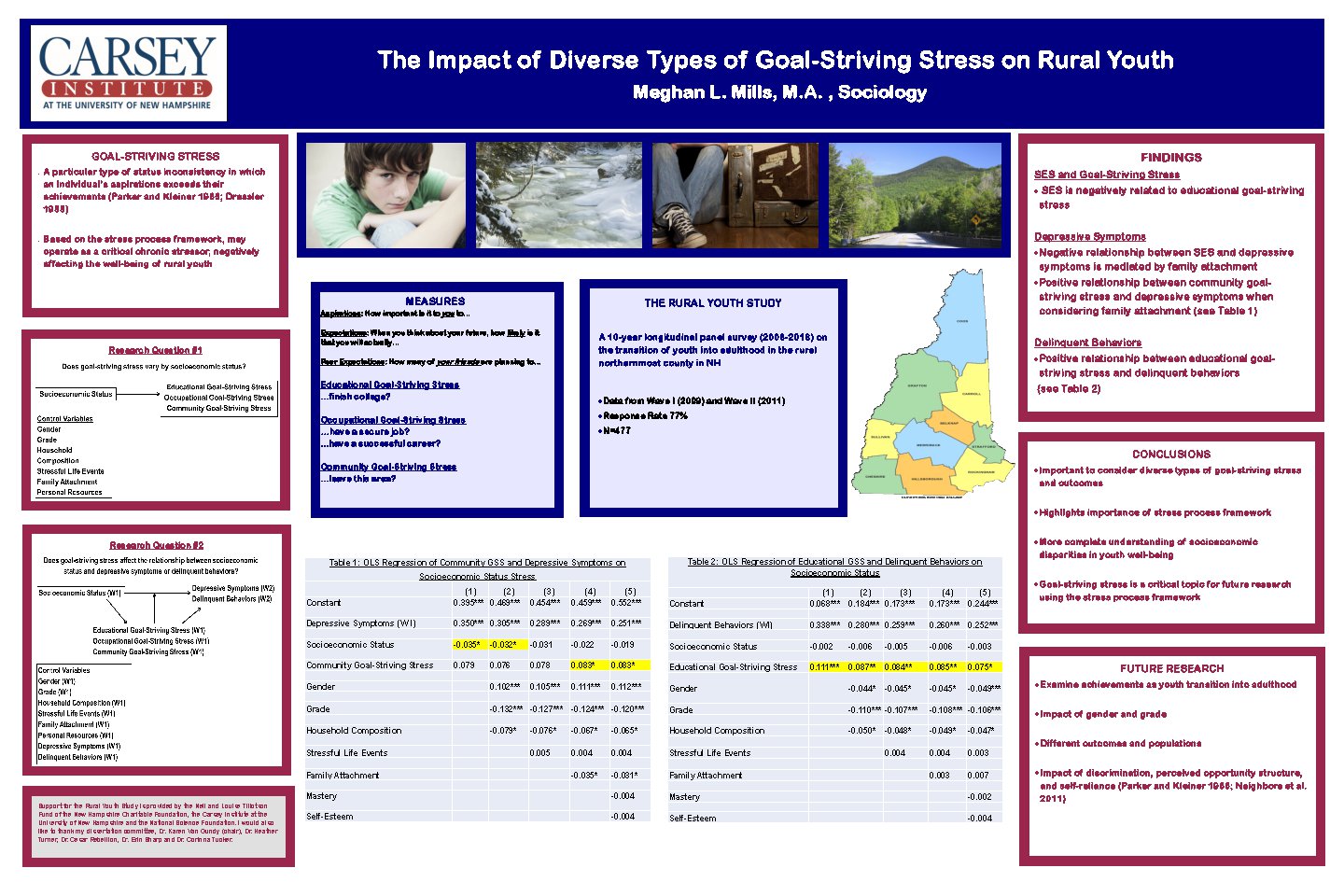 The Impact Of Diverse Types Of Goal-Striving Stress On Rural Youth by mlz55