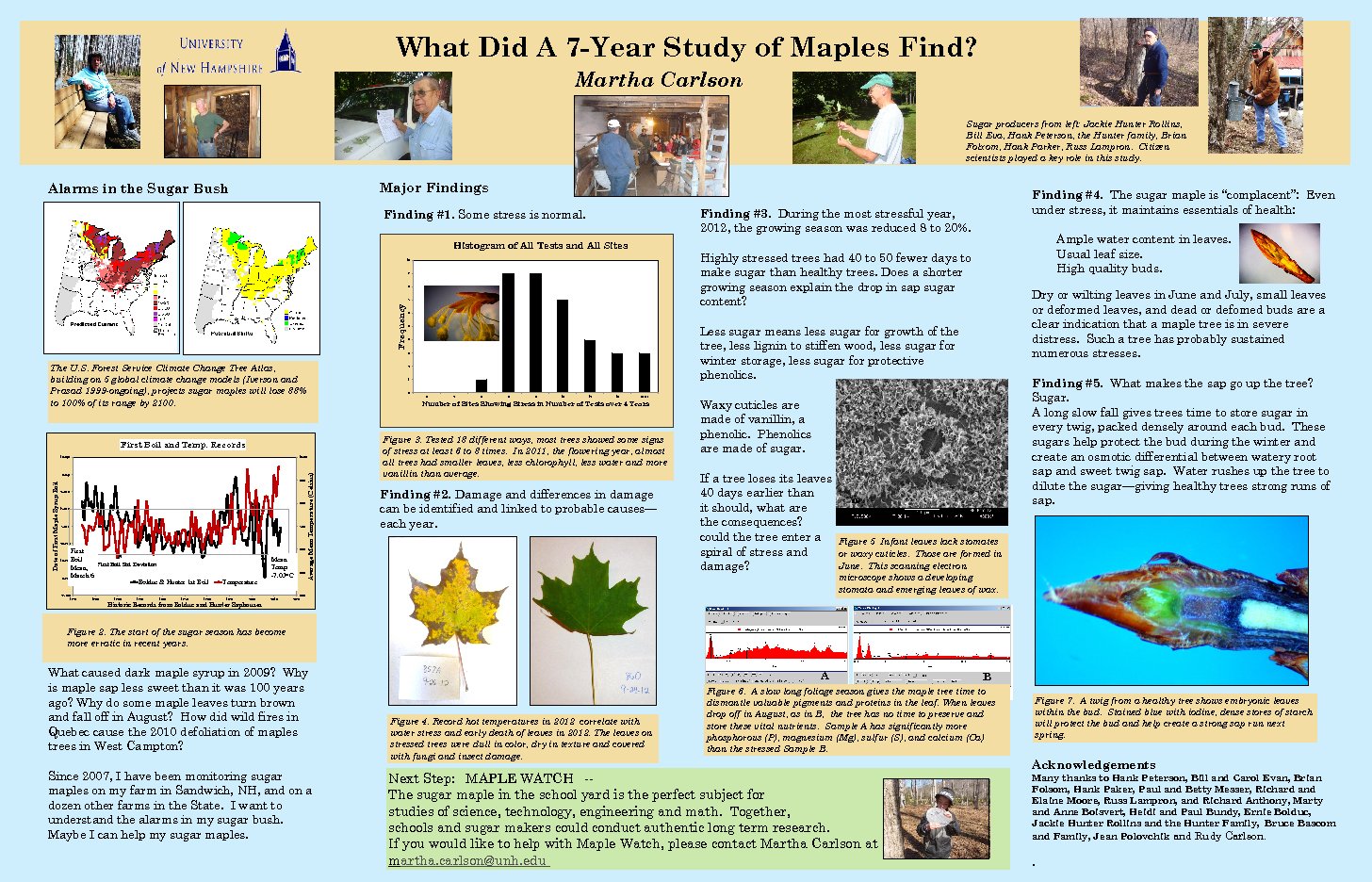 Findings Of A 7-Year Maple Study by mrg39