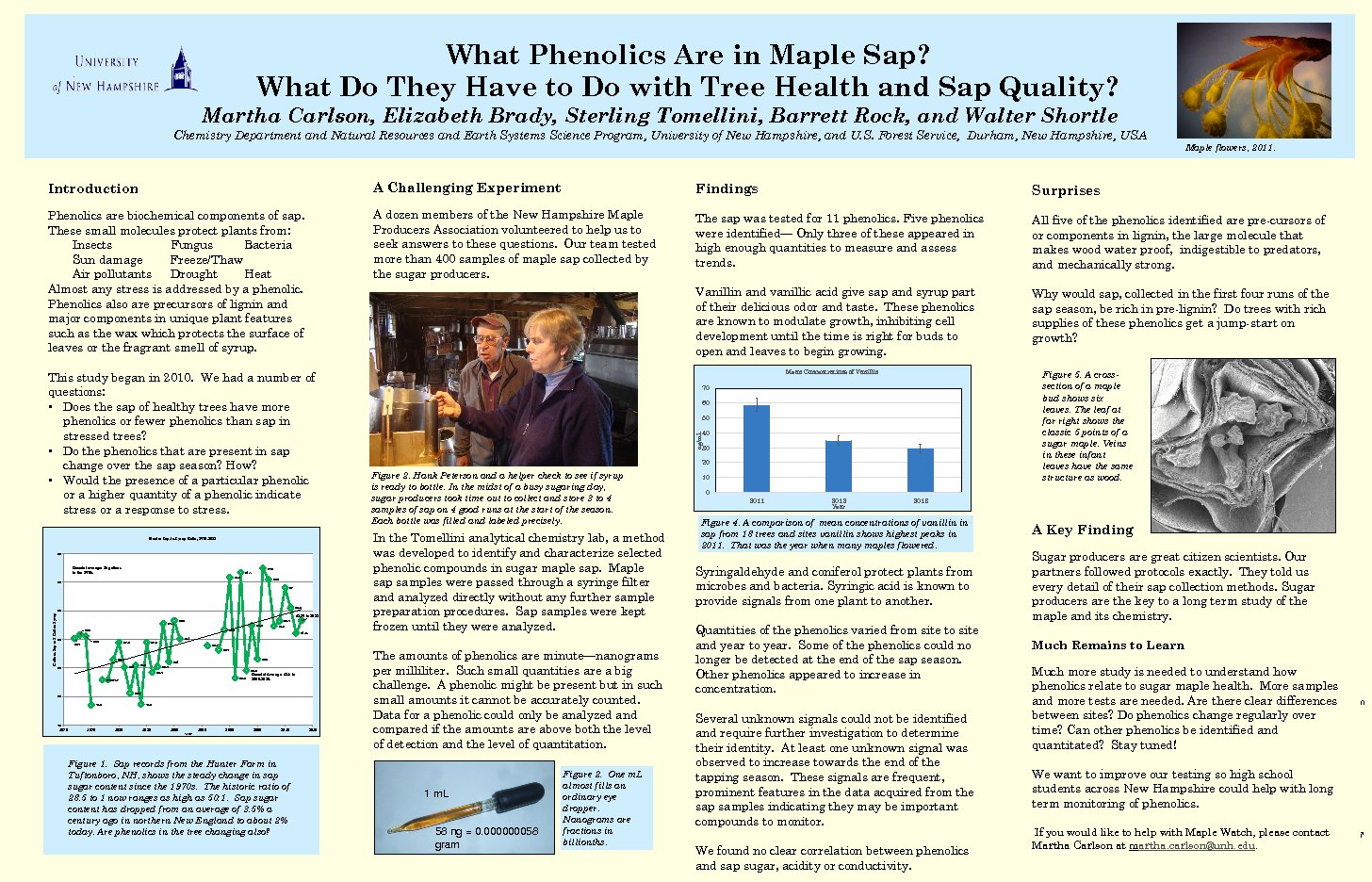 What Phenolics Are In Maple Sap? by mrg39