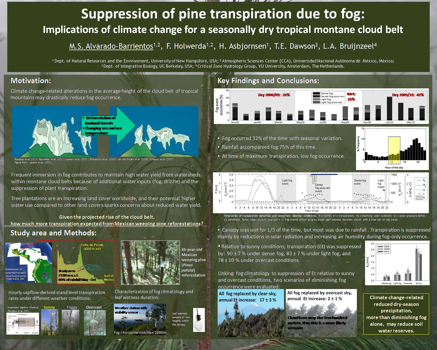Suppression Of Pine Transpiration Due To Fog by msab