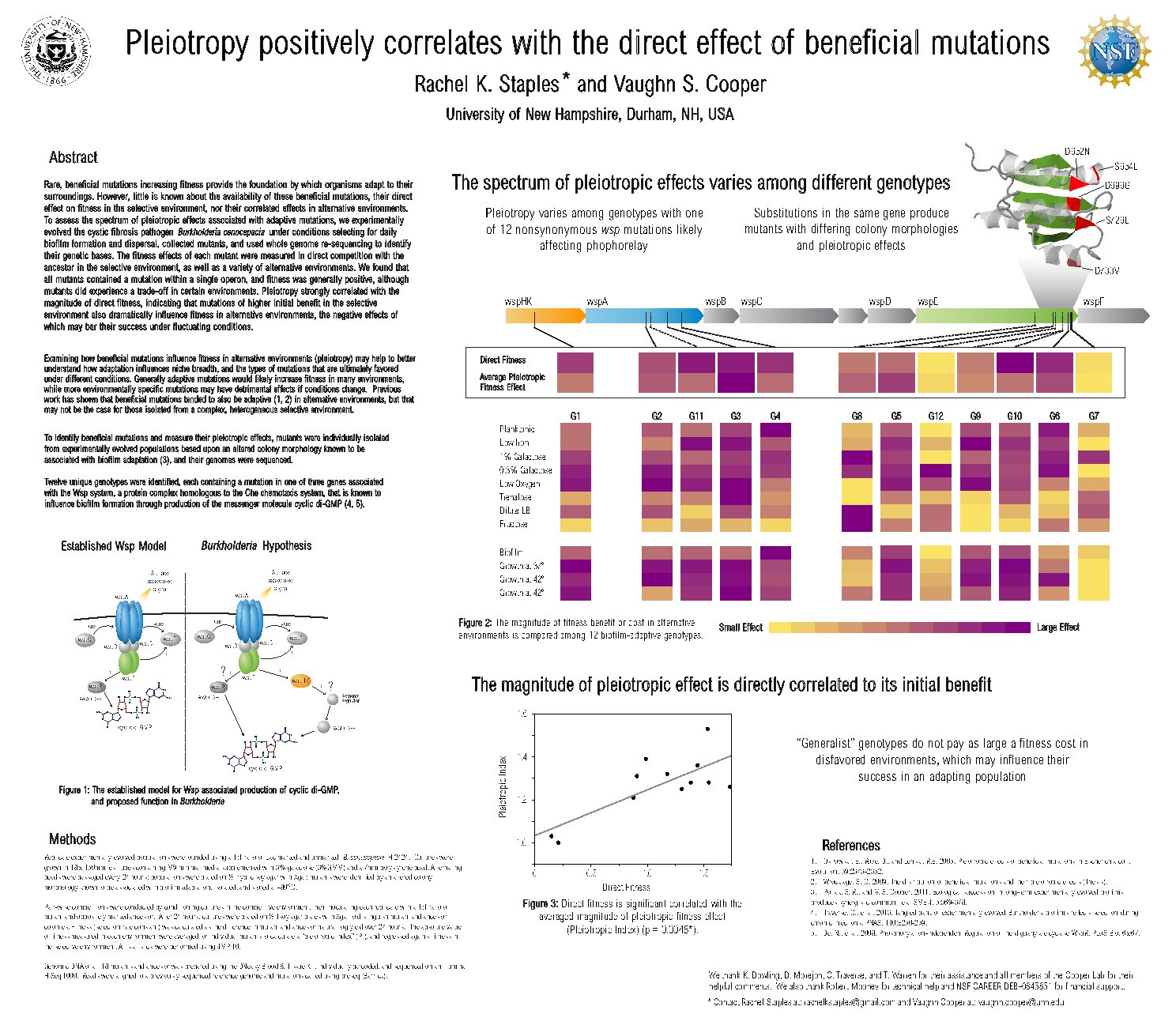 Pleiotropy Positively Correlates With The Direct Effect Of Beneficial Mutations by rs7