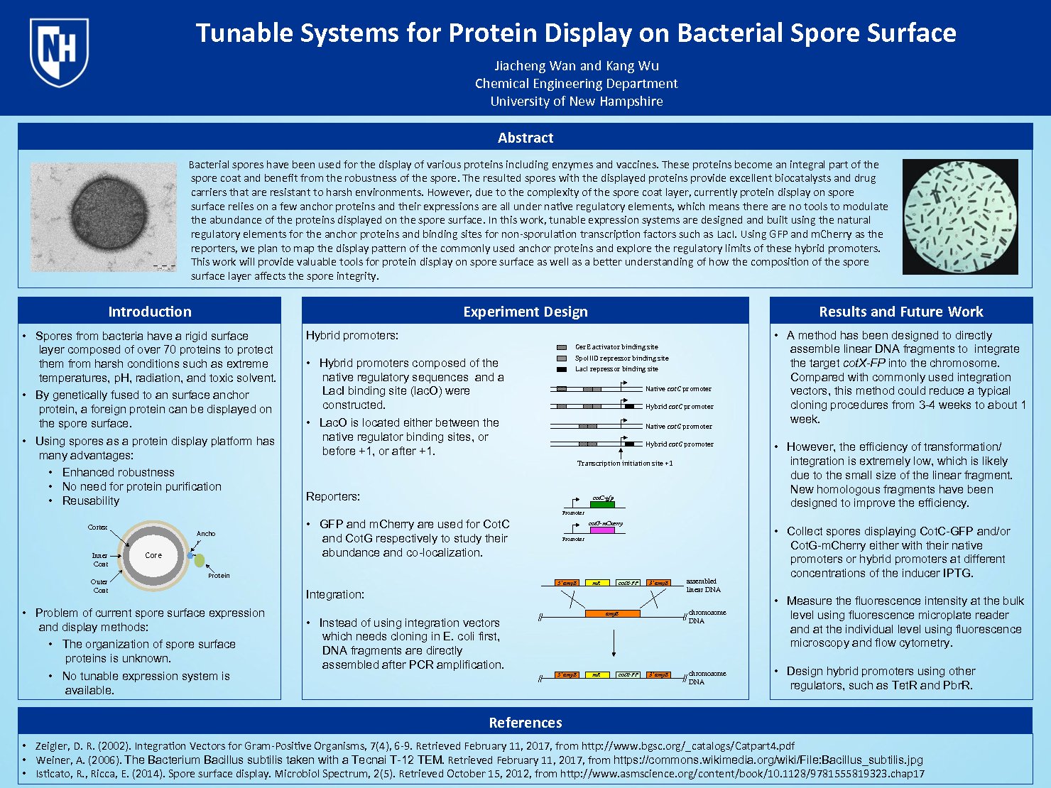 Tunable Systems For Protein Display On Bacterial Spore Surface by ssr