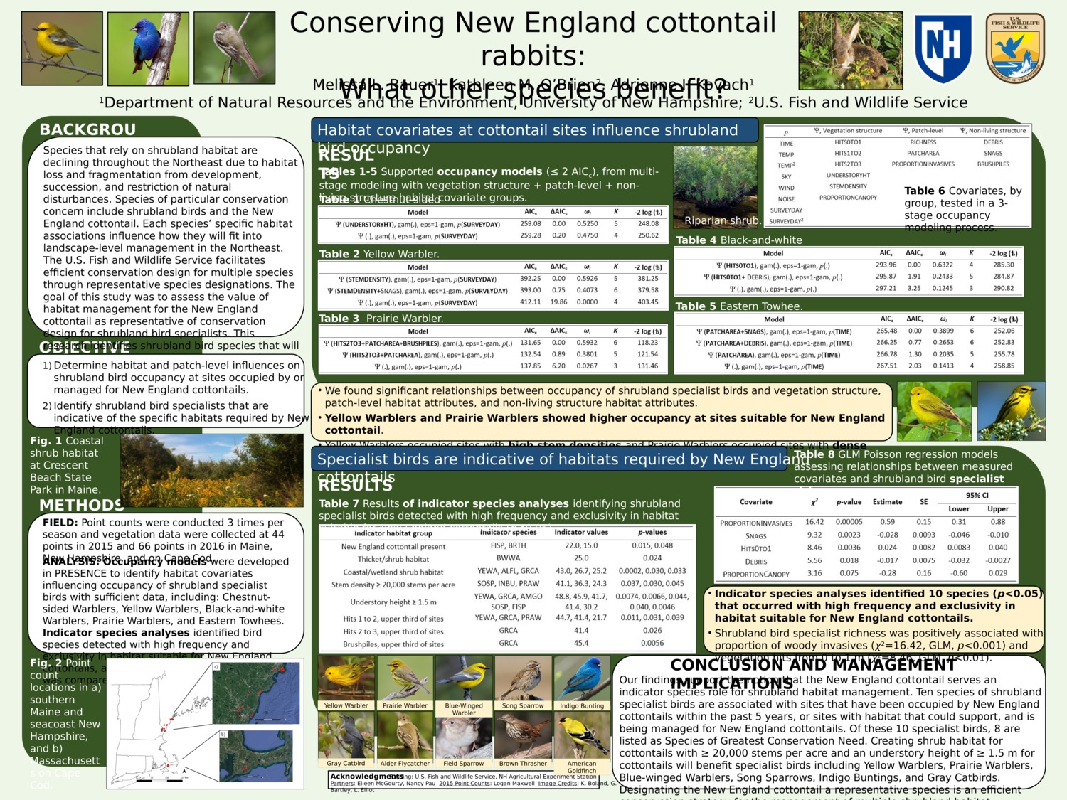 Conserving New England Cottontail Rabbits: What Other Species Benefit? by mle1003