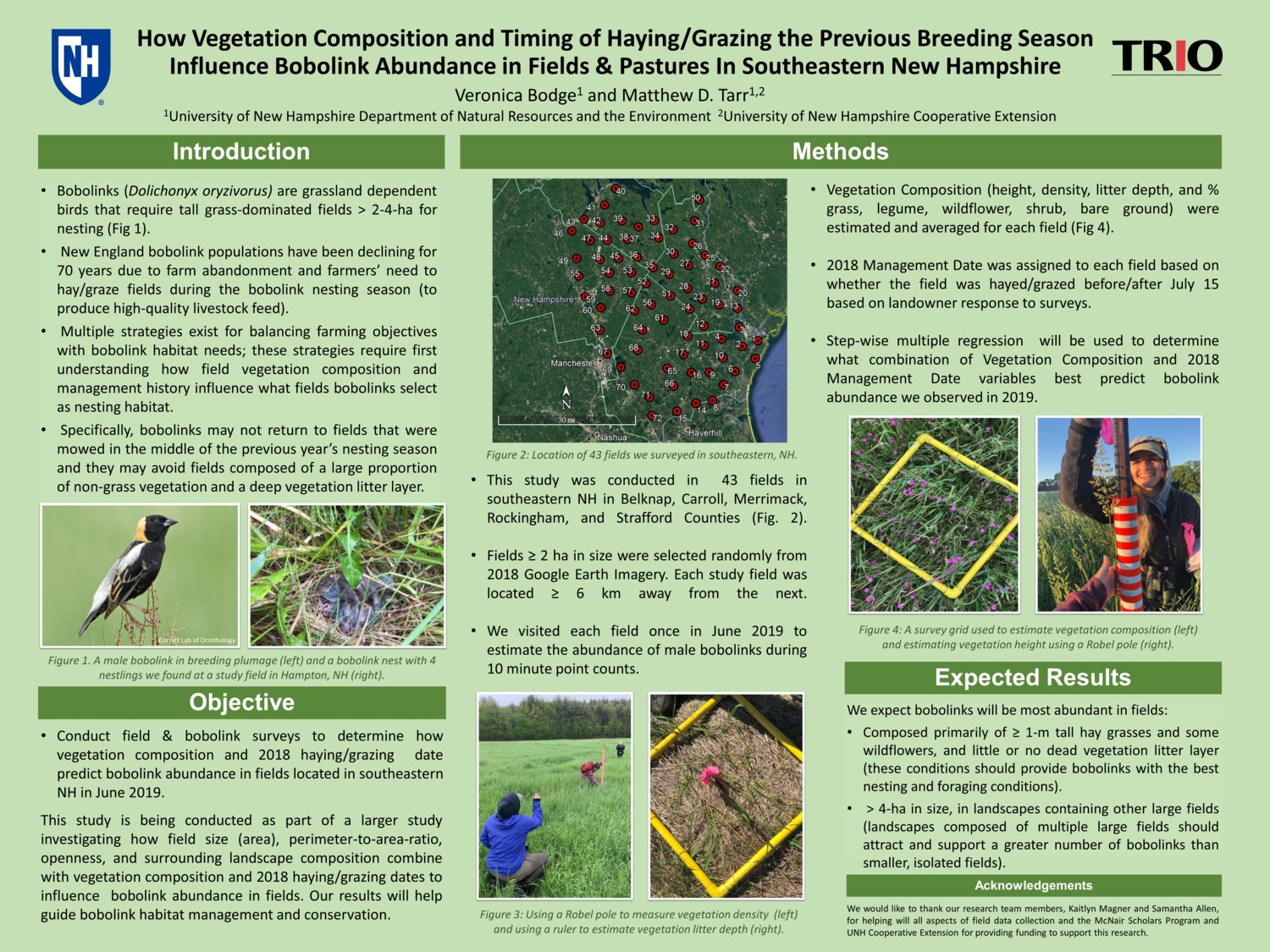 How Vegetation Composition And Timing Of Haying/Grazing The Previous Breeding Season Influence Bobolink Abundance In Fields & Pastures In Southeastern New Hampshire by vlb11