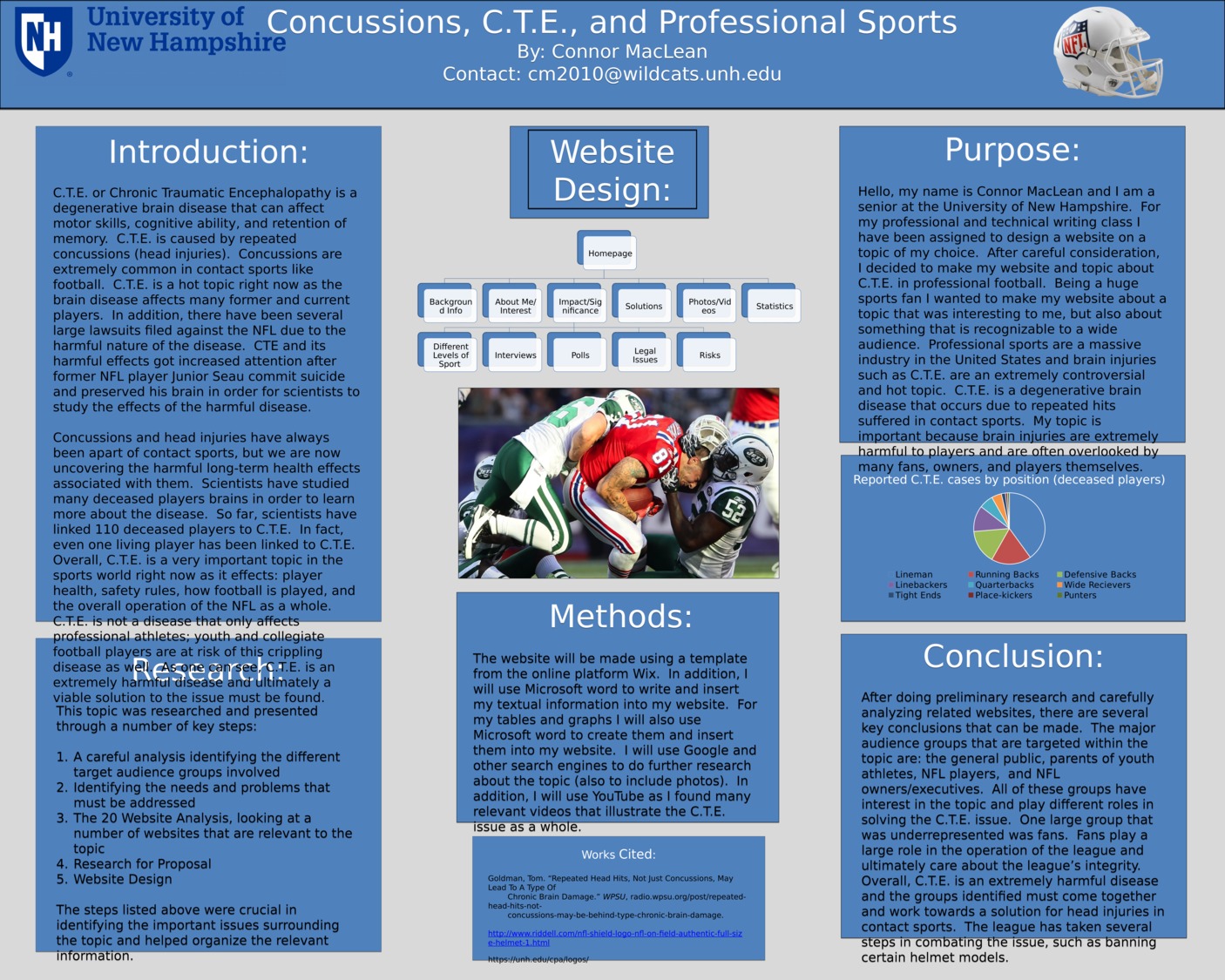 Concussions, C.T.E., And Professional Sports by cm2010