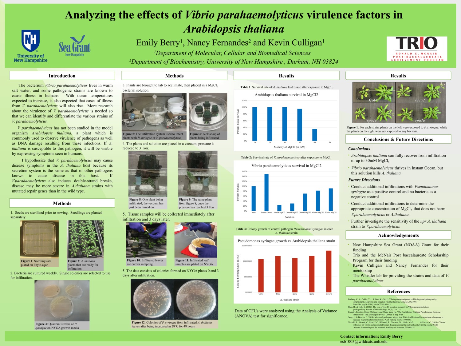 Analyzing The Effects Of Vibrio Parahaemolyticus Virulence Factors In Arabidopsis Thaliana by esb1003