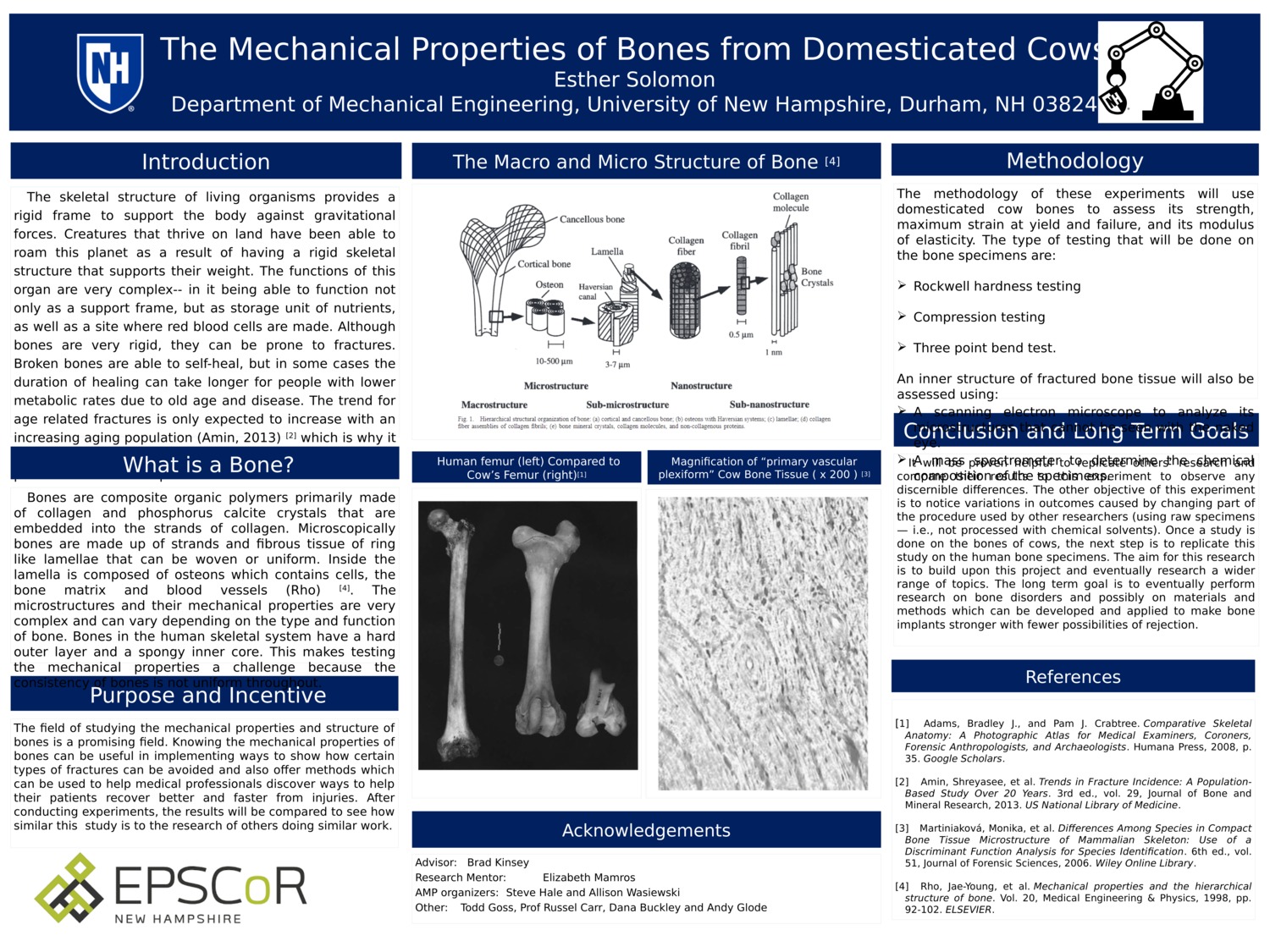 The Mechanical Properties Of Bones From Domesticated Cows by ehs1024
