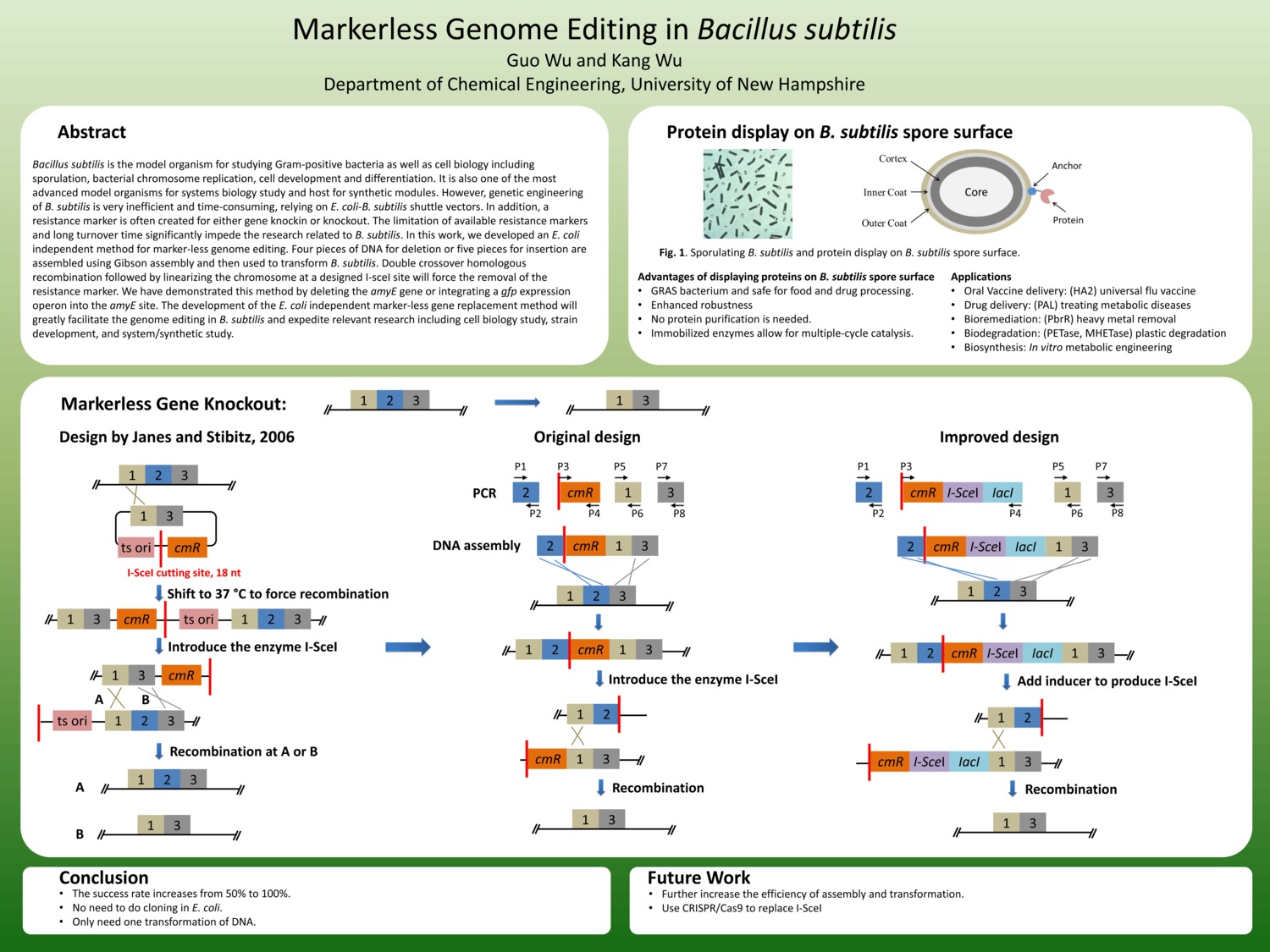 Markerless Genome Editing In Bacillus Subtilis by kangwu