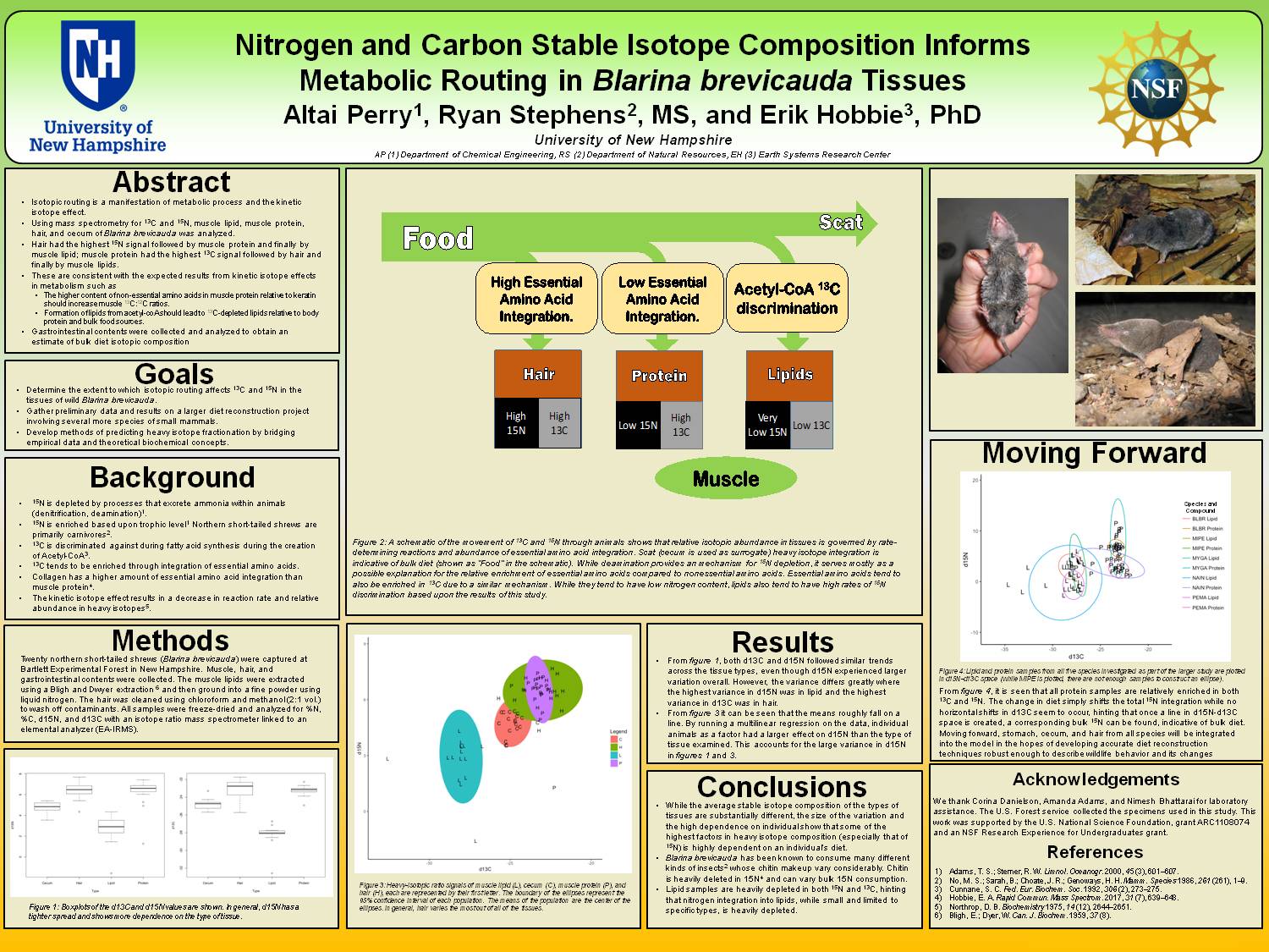 Nitrogen And Carbon Stable Isotope Composition Informs Metabolic Routing In Blarina Brevicauda Tissues by ajp1023