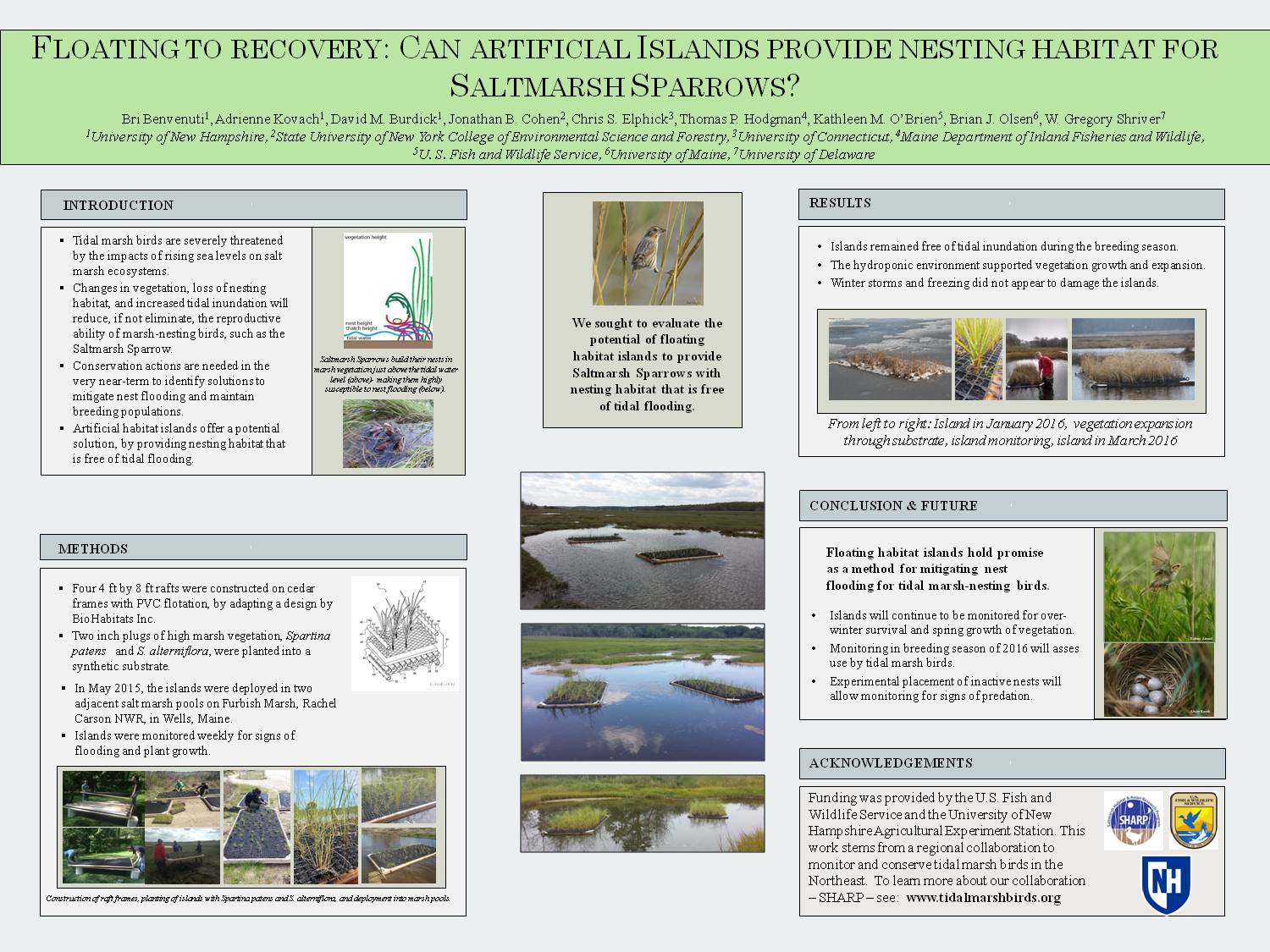 Floating To Recovery: Can Artificial Islands Provide Nesting Habitat For Saltmarsh Sparrows? by bar1