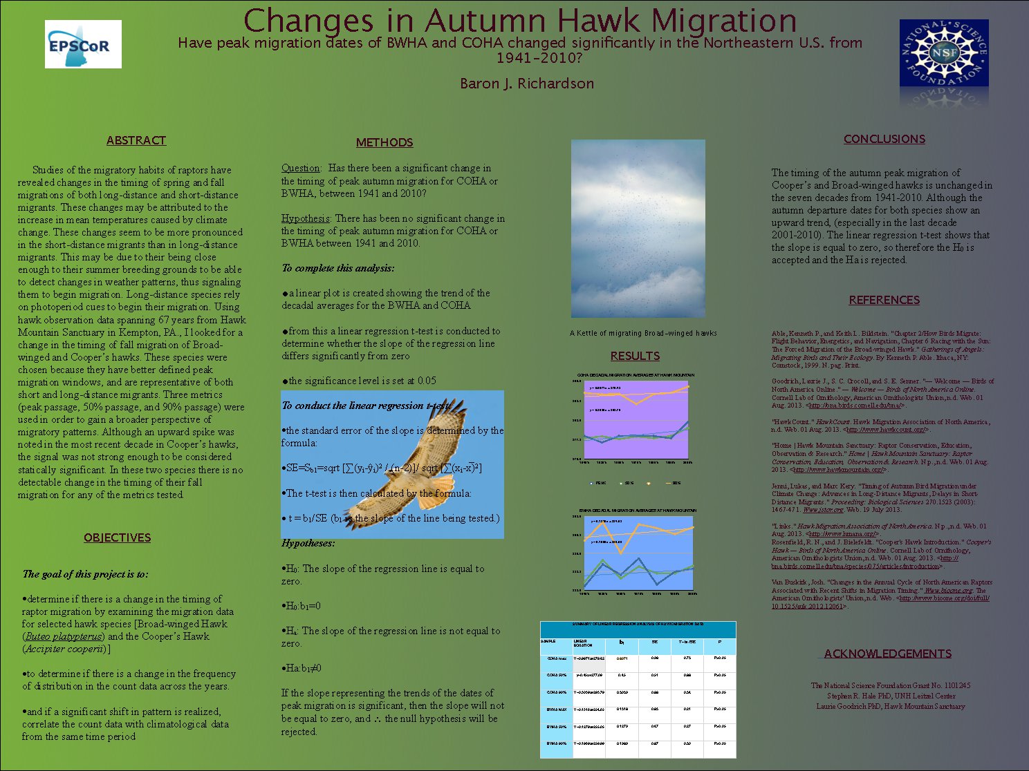 Changes In Autumn Hawk Migration by brichardson63