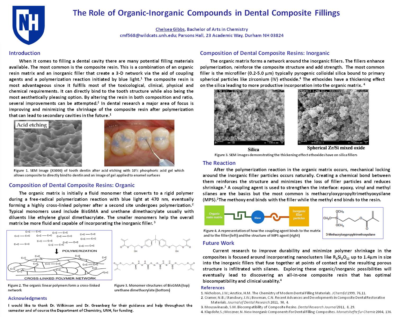The Role Of Organic-Inorganic Compounds In Dental Composite Fillings by cmf568