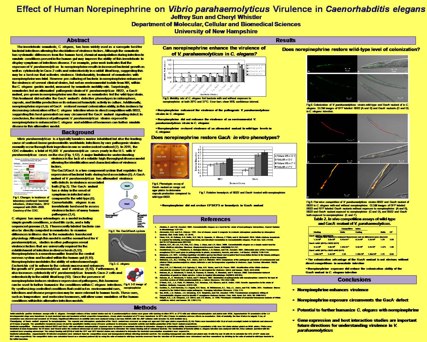 Effect Of Human Norepinephrine On Vibrio Parahaemolyticus Virulence In Caenorhabditis Elegans by cwhistler