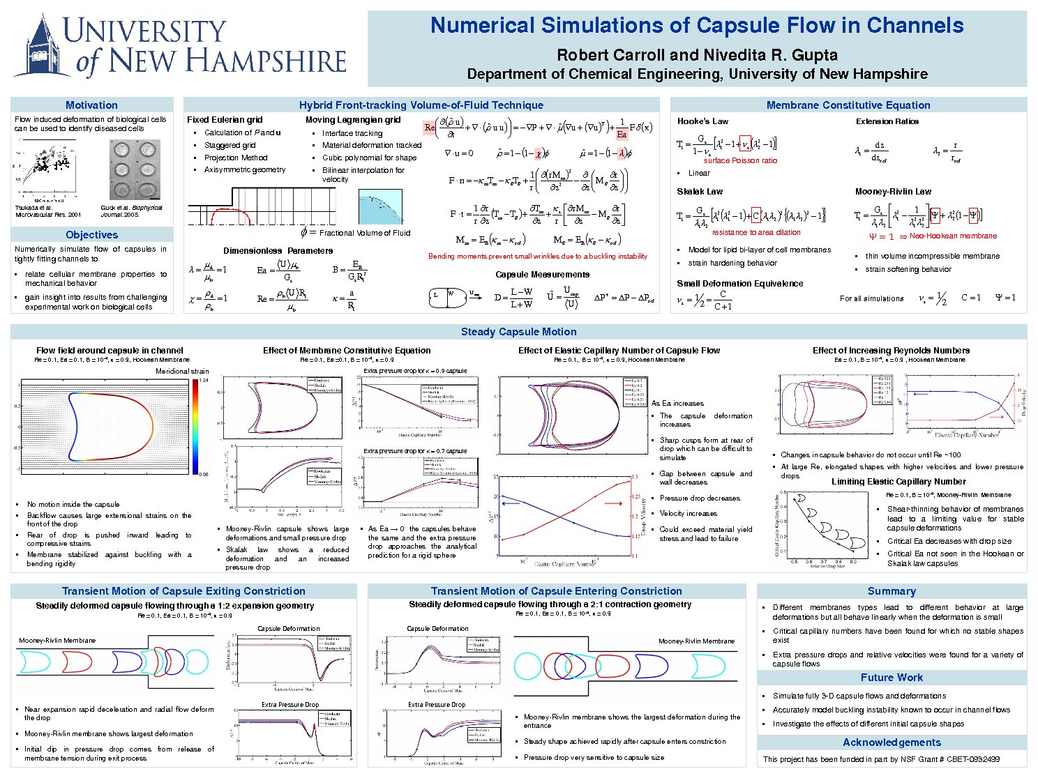 Numerical Simulations Of Capsule Flow In Channels by ngupta