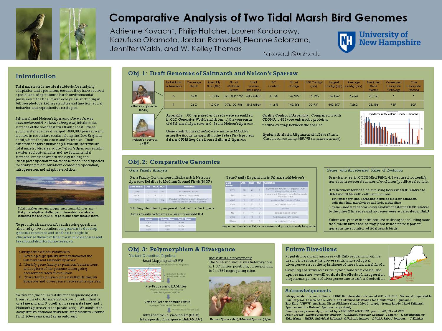 Comparative Analysis Of Two Tidal Marsh Bird Genomes by akovach