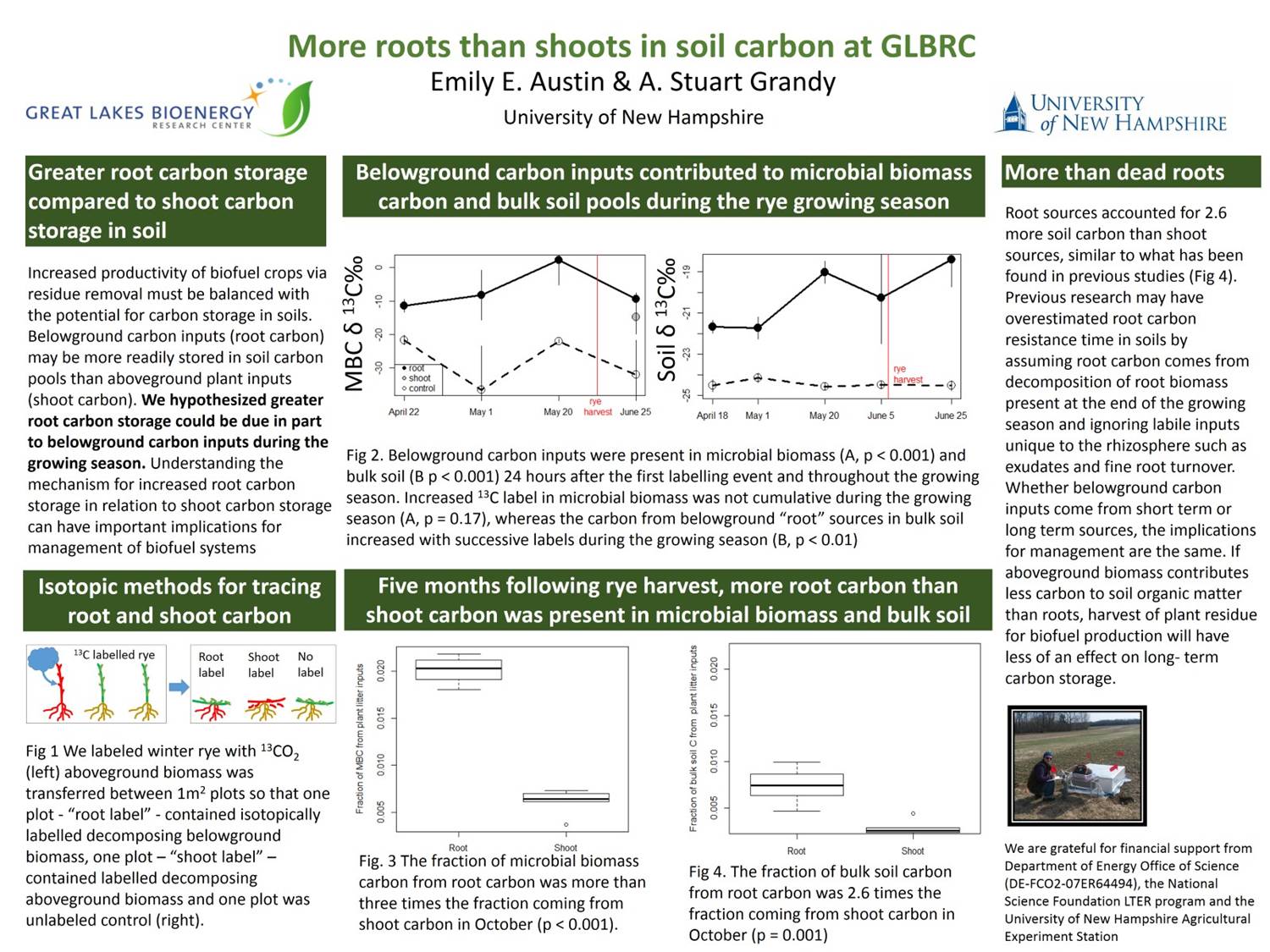 More Roots Than Shoots In Soil Carbon At Glbrc by eaustin4