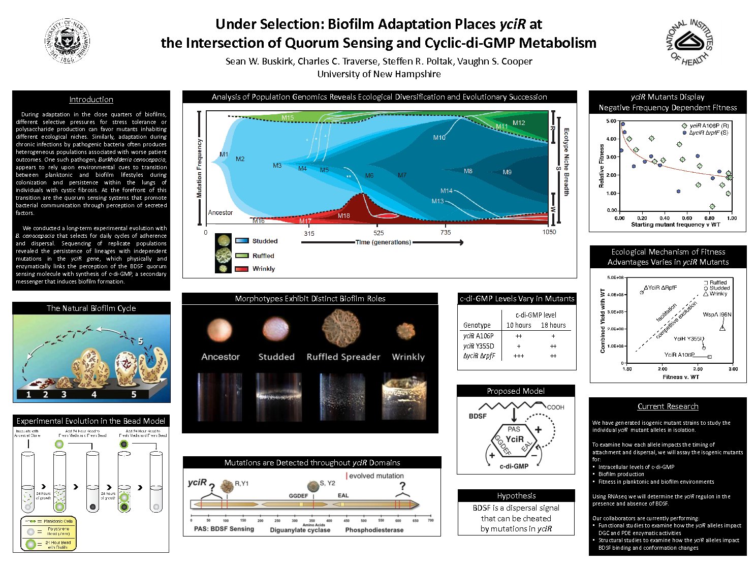 Under Selection: Biofilm Adaptation Places Ycir At  by swb5000
