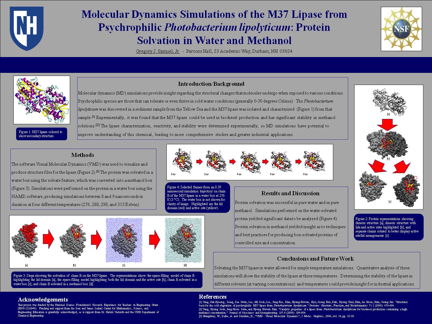 Molecular Dynamics Simulations by slz27