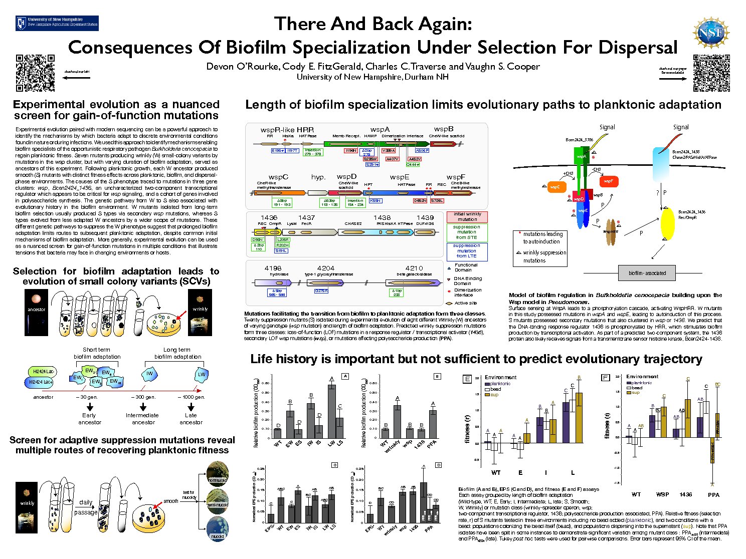 There And Back Again: Consequences Of Biofilm Specialization Under Selection For Dispersal by devonorourke