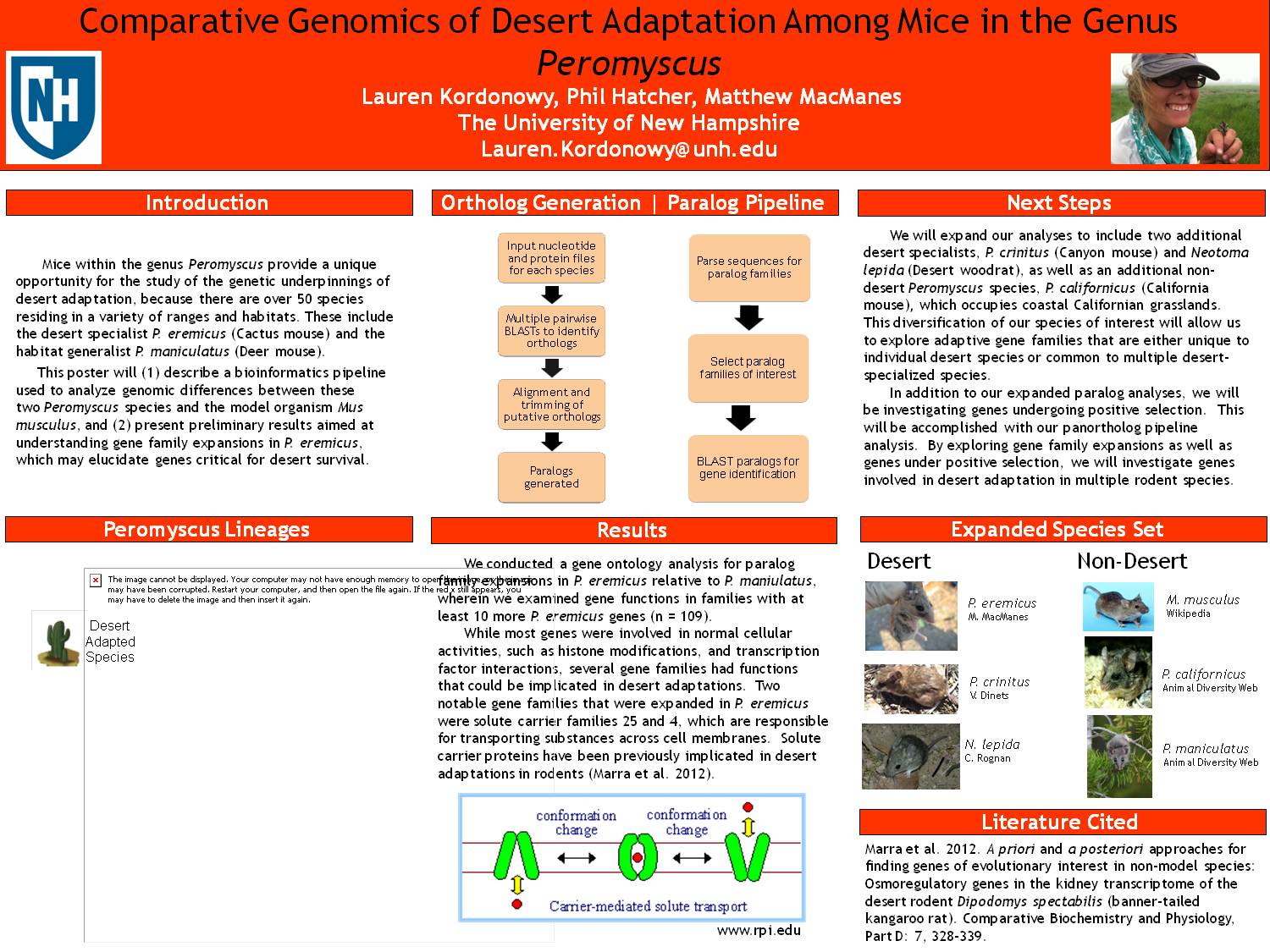 Peromyscus Genomics by Lkordy