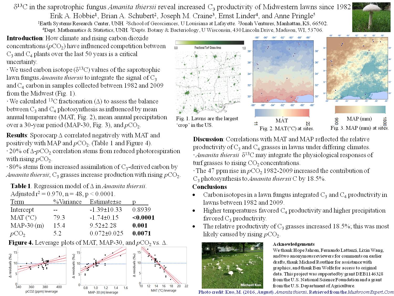 Δ13c In The Saprotrophic Fungus Amanita Thiersii Reveal Increased C3 Productivity Of Midwestern Lawns Since 1982 by ErikHobbie