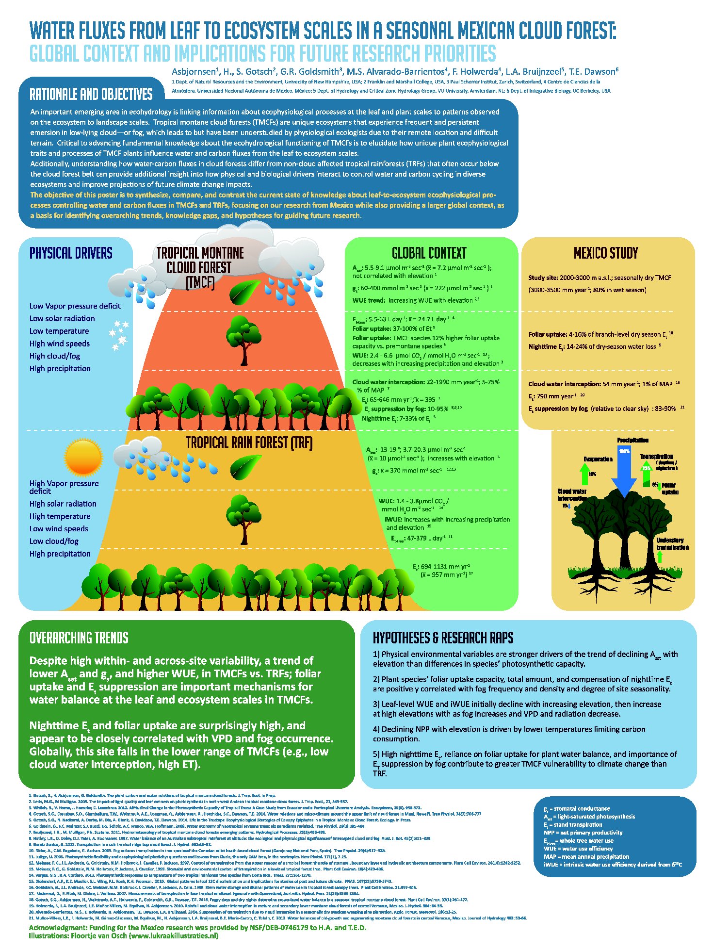 Ecophysiology Of Cloud Forests by heidi0443