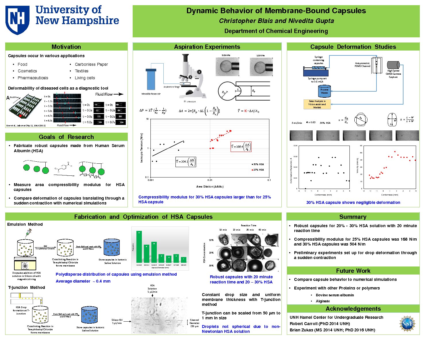 Dynamic Behavior Of Membrane-Bound Capsules by cje888