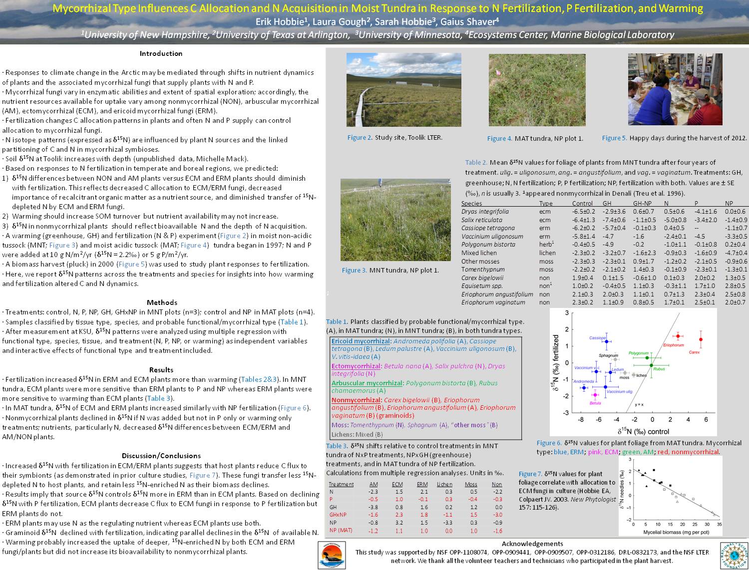 Mycorrhizal Type Influences C Allocation And N Acquisition In Moist Tundra In Response To N Fertilization, P Fertilization, And Warming by ErikHobbie