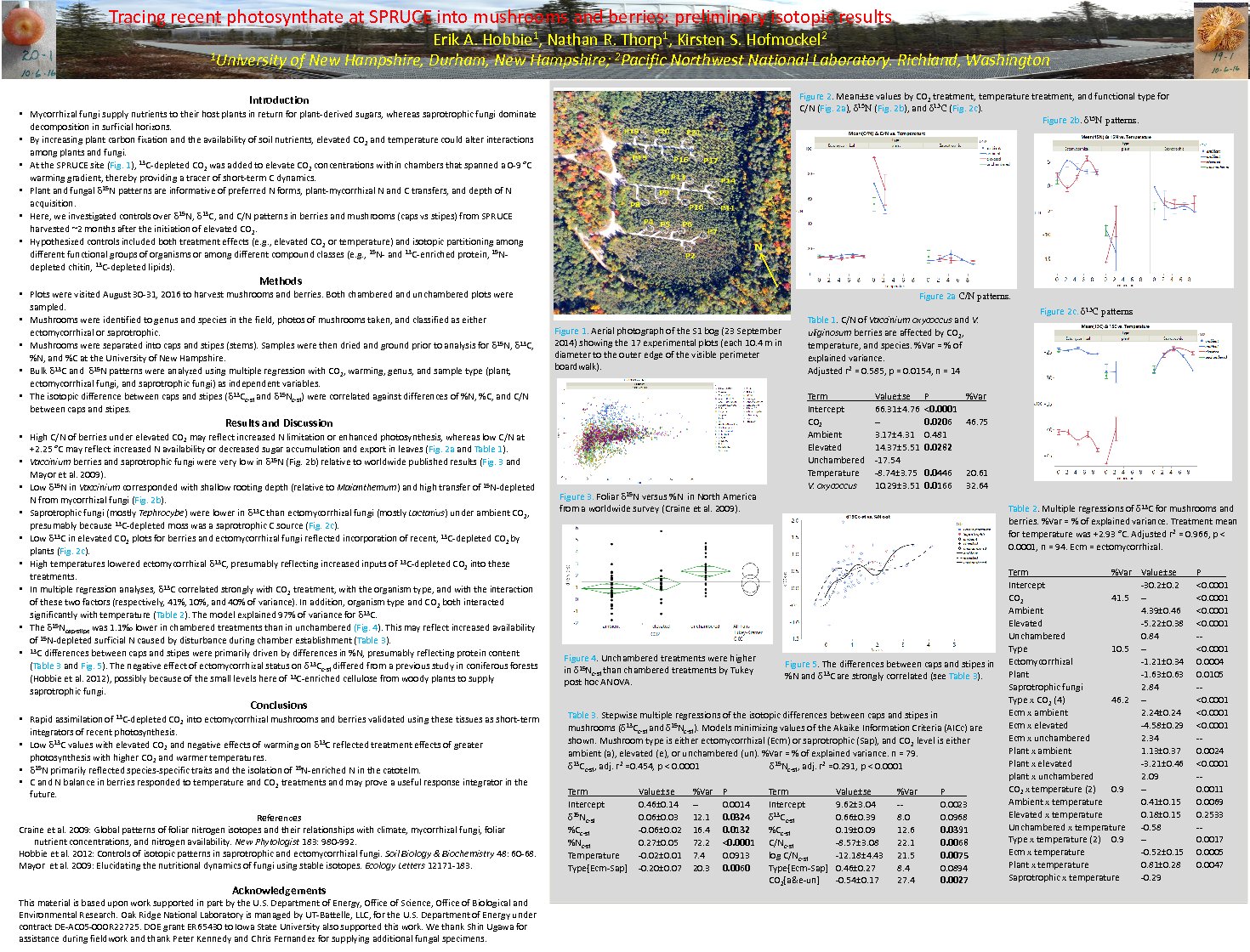 Tracing Recent Photosynthate At Spruce Into Mushrooms And Berries: Preliminary Isotopic Results by ErikHobbie