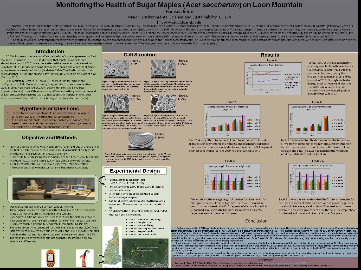 Monitoring The Health Of Sugar Maples (Acer Saccharum) On Loon Mountain  by hjutras