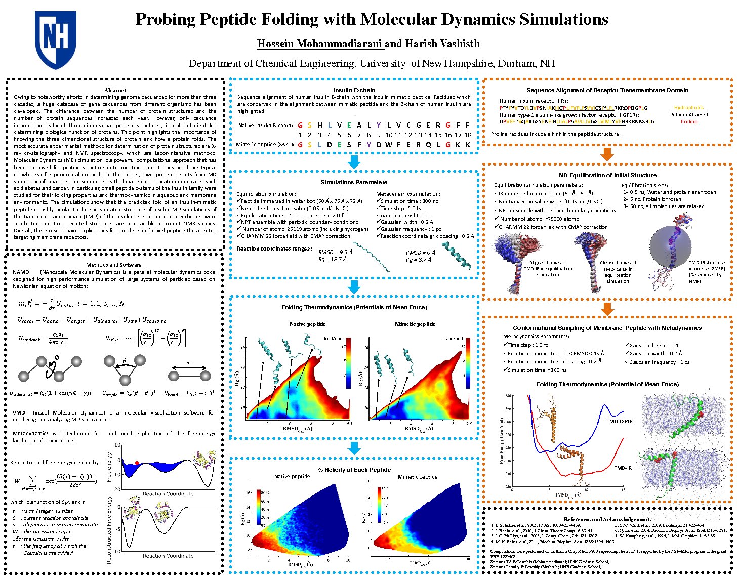 Probing Peptide Folding With Molecular Dynamics Simulations by hm2006