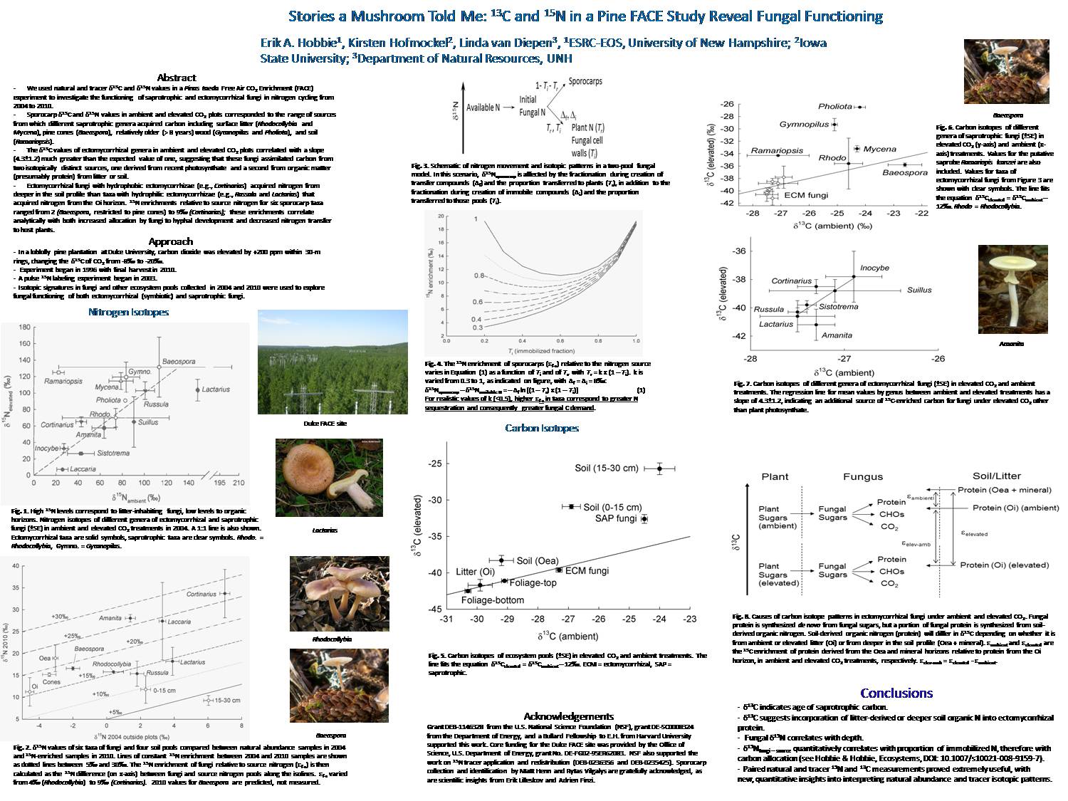 Fungal Functioning In A Pine Forest: Evidence From A 15n-Labeled And 13c-Labeled Global Change Experiment by Hobbie