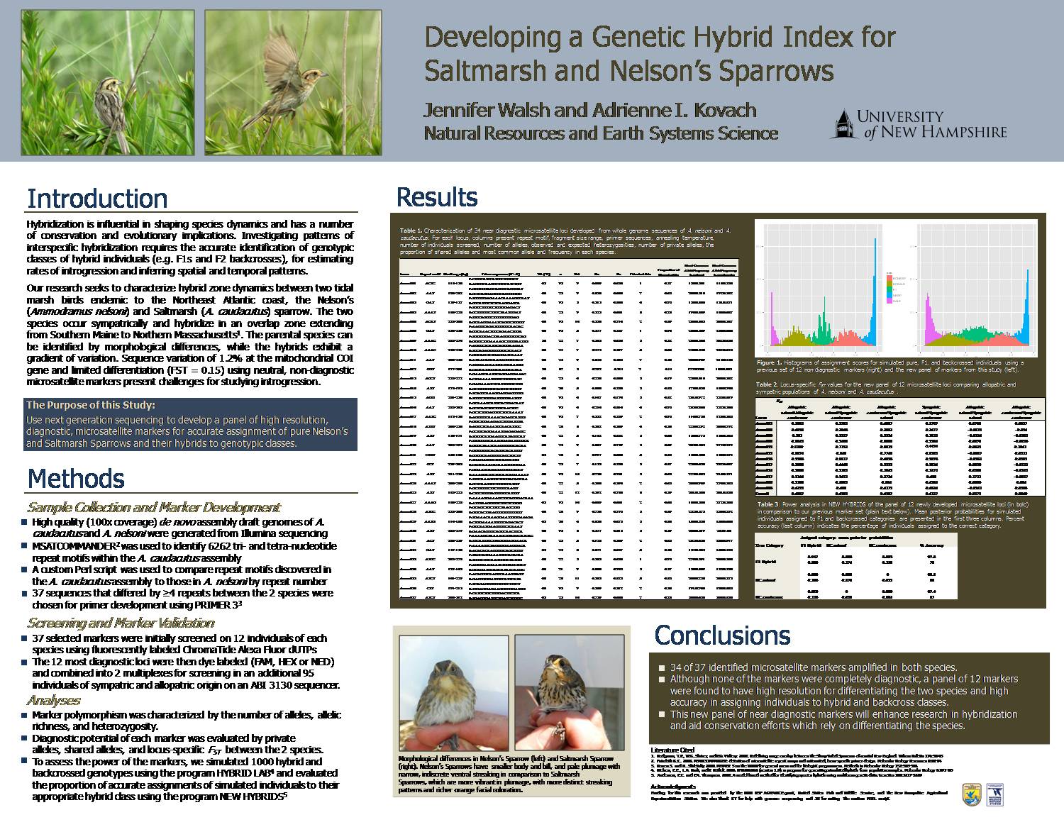 Developing A Genetic Hybrid Index For Saltmarsh And Nelson's Sparrows by jenwalsh27