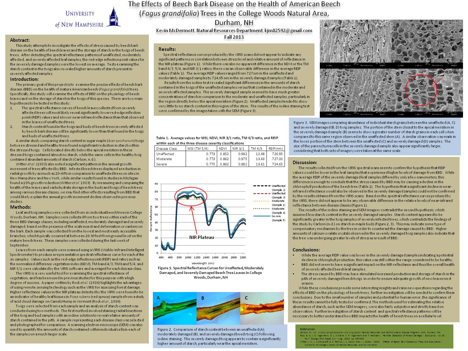 The Effects Of Beech Bark Disease On The Health Of American Beech Trees In College Woods, Durham, Nh by kjf64