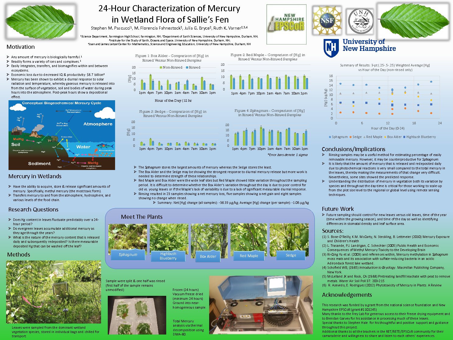 24-Hour Characterization Of Mercury In Wetland Flora Of Sallie's Fen by mfmprado