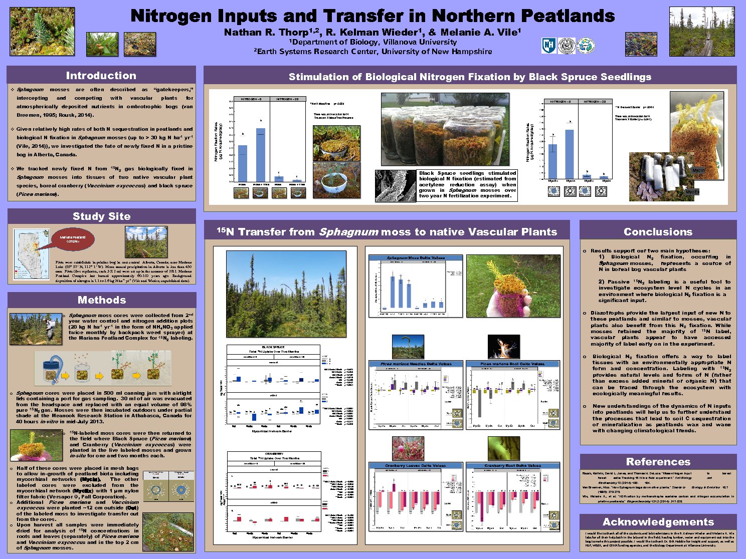 Nitrogen Inputs And Transfer In Northern Peatlands by NateThorp