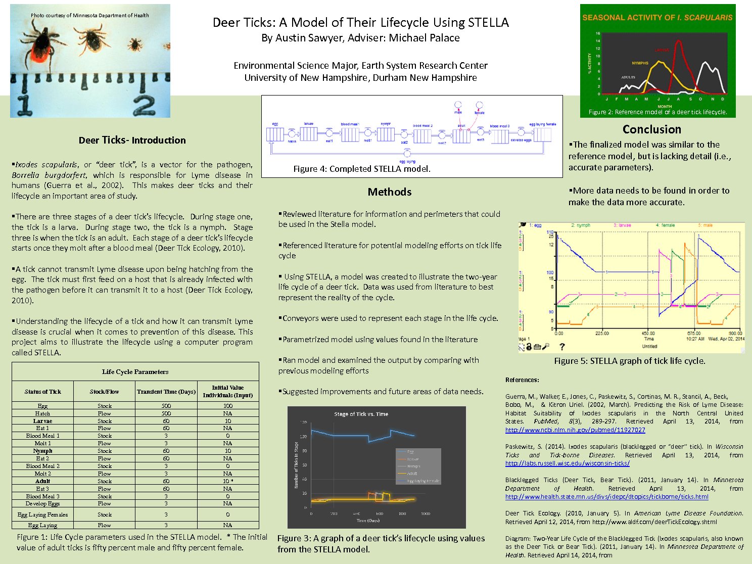 Deer Ticks: A Model Of Their Lifecycle Using Stella by herrick