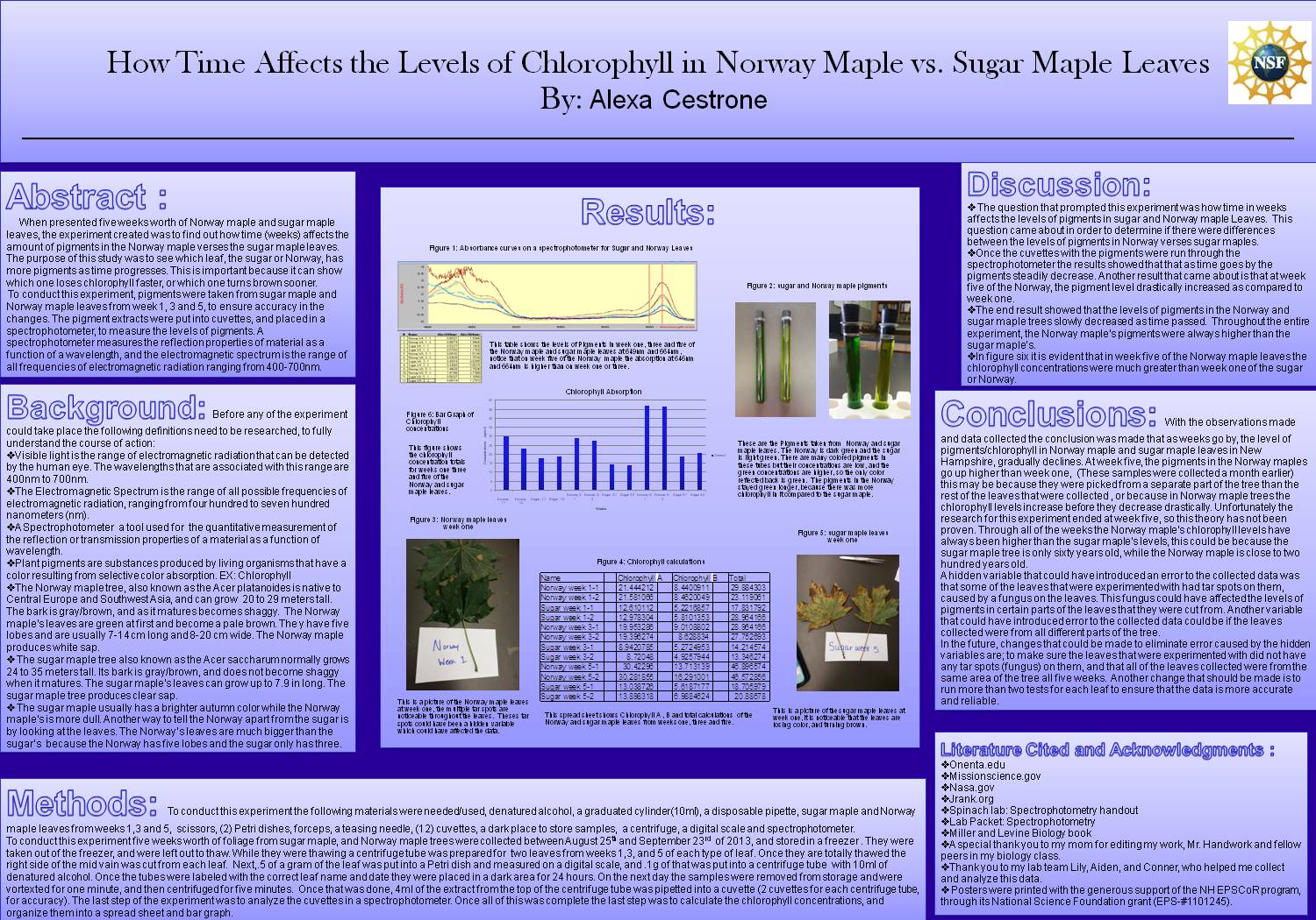How Time Affects The Levels Of Chlorophyll In Norway Maple Vs. Sugar Maple Leaves by mchandwork