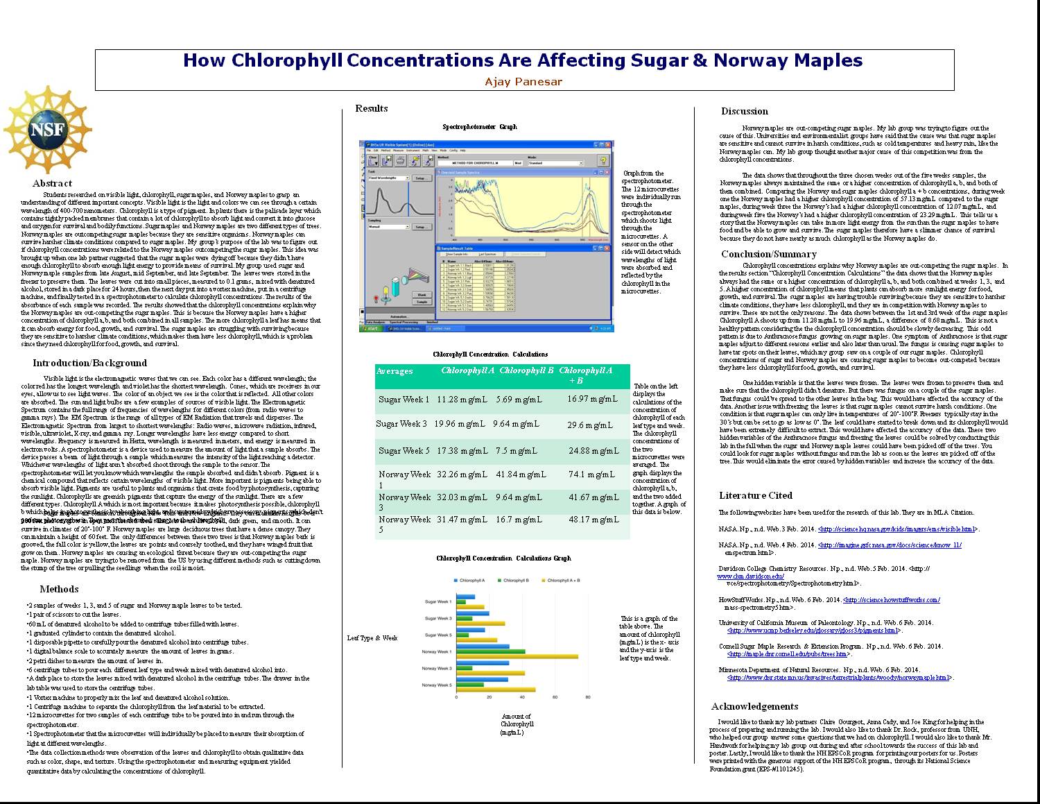 How Chlorophyll Contrations Are Affecting Sugar And Norway Maples by mchandwork