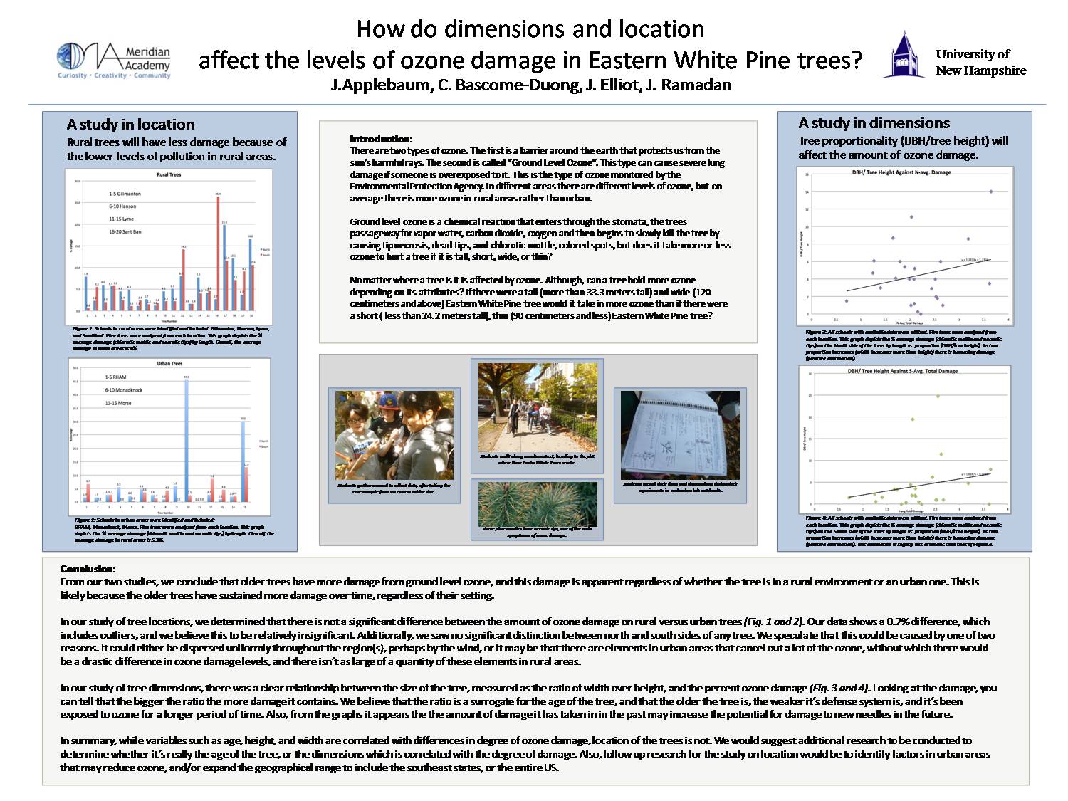 How Do Dimensions And Location Affect The Levels Of Ozone Damage In Eastern White Pine Trees? by skinkel