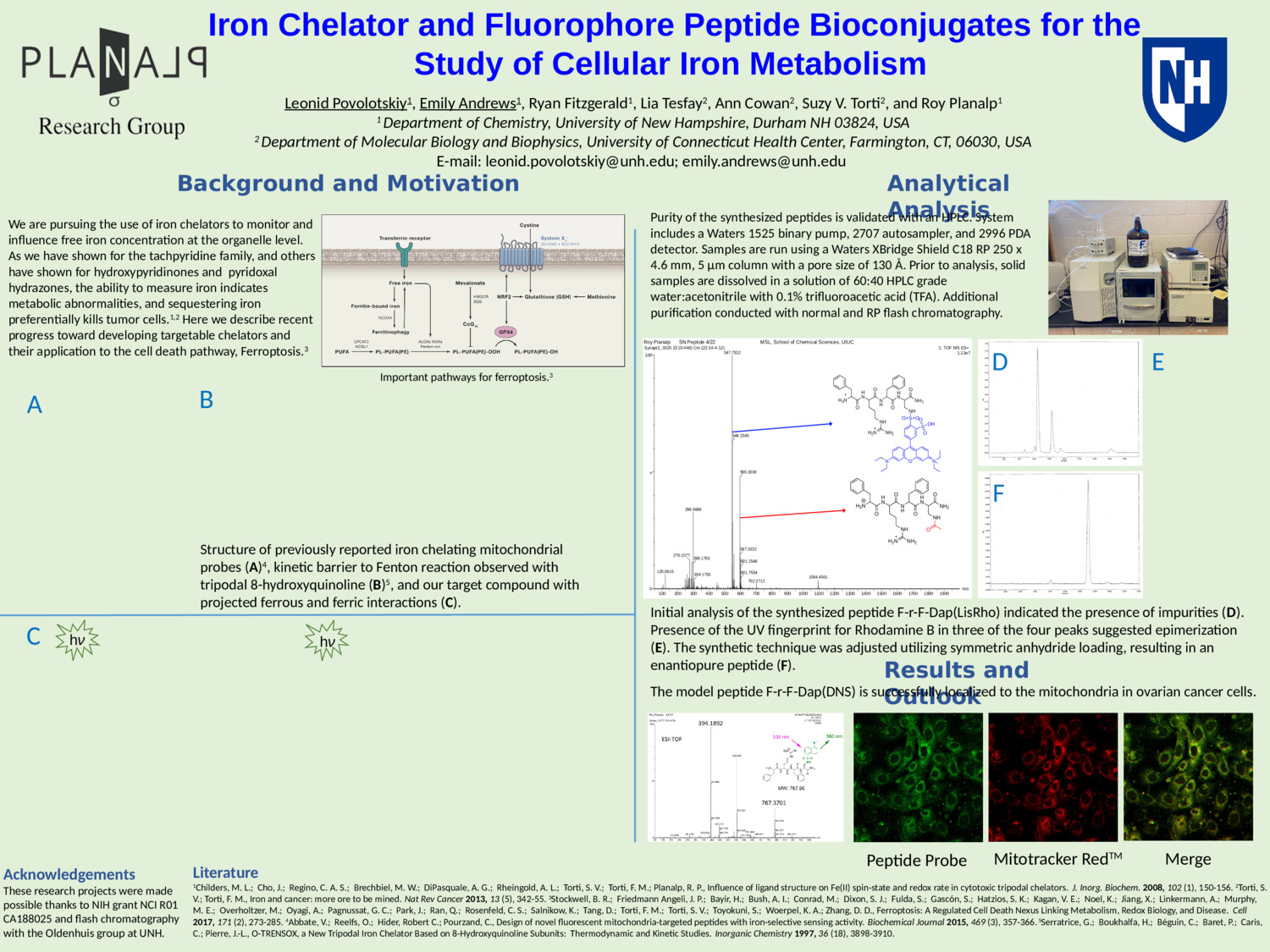 Iron Chelator And Fluorophore Peptide Bioconjugates For The Study Of Cellular Iron Metabolism by lp2005