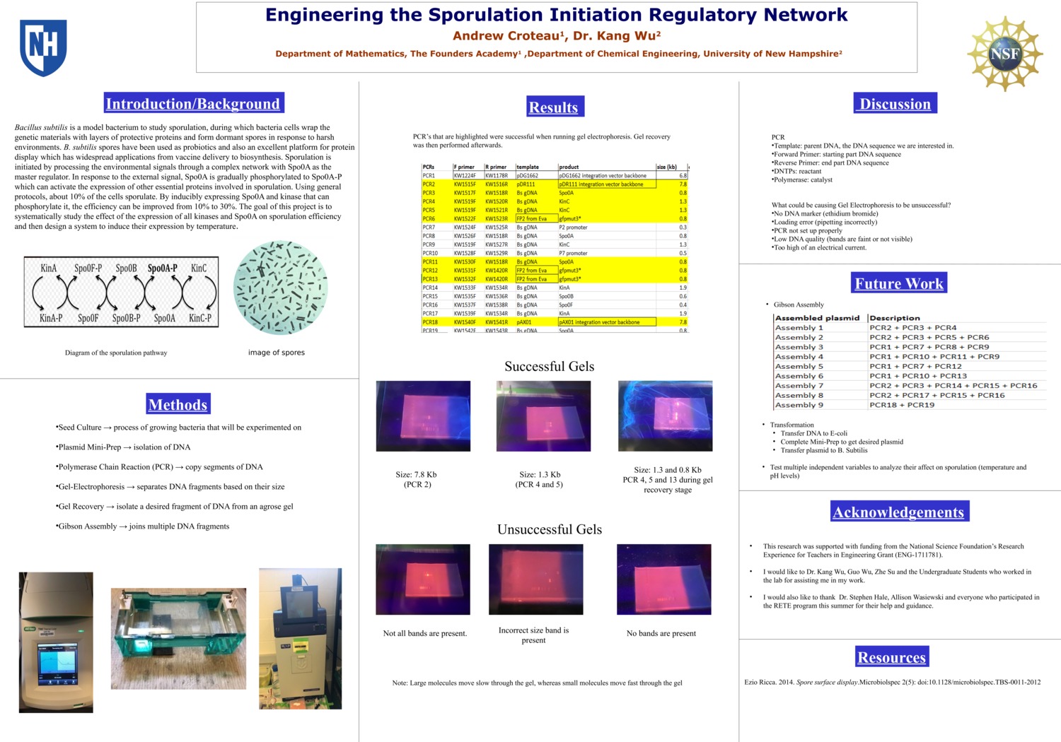 Engineering The Sporulation Initiation Regulatory Network by atg28