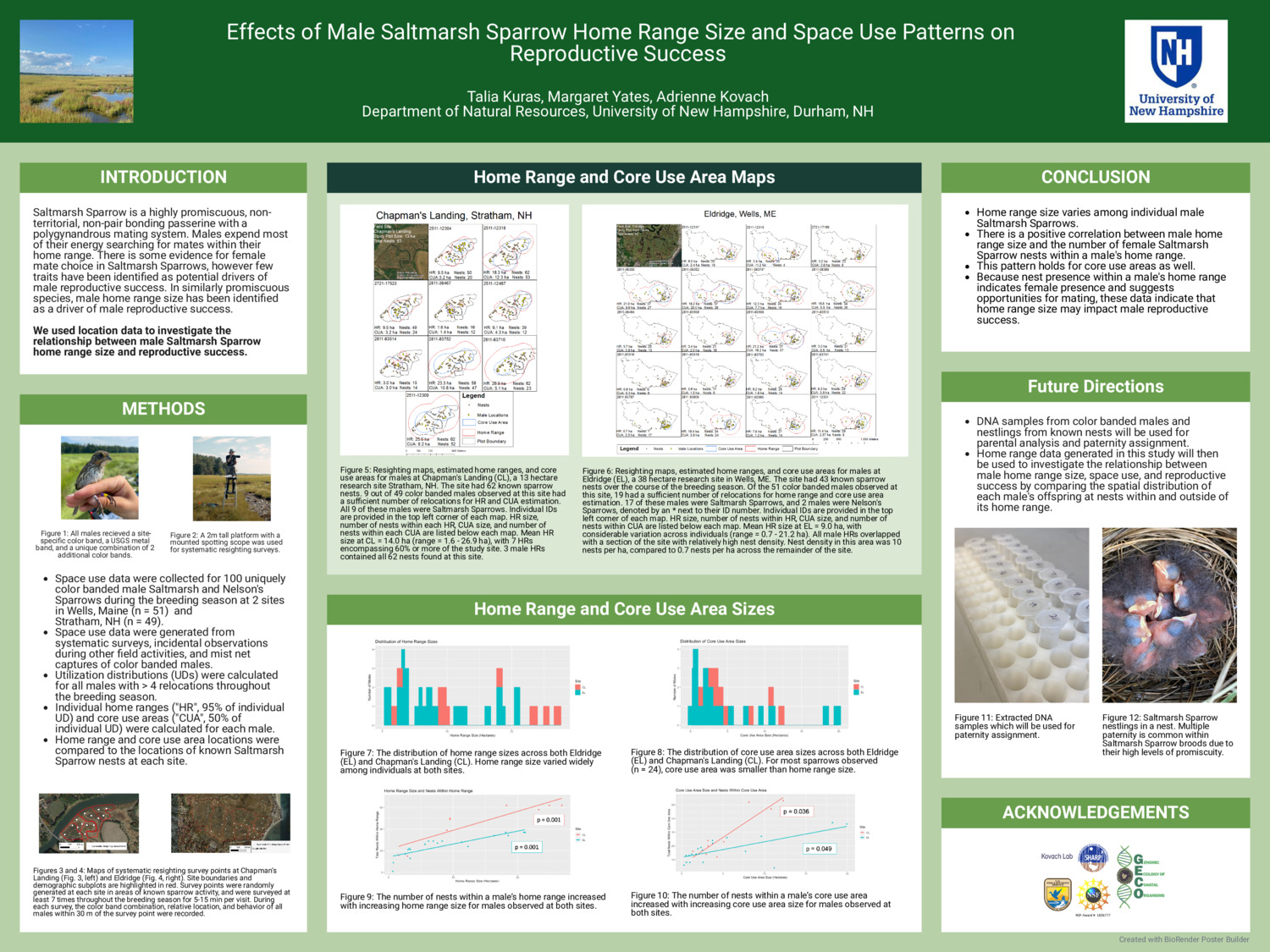 Effects Of Male Saltmarsh Sparrow Home Range Size And Space Use Patterns On Reproductive Success by tmk1044