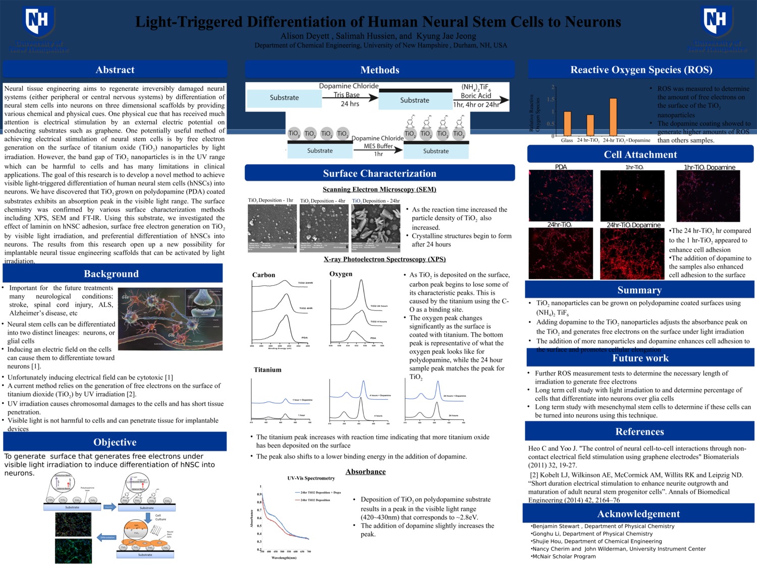 Light-Triggered Differentiation Of Human Neural Stem Cells To Neurons by aad11